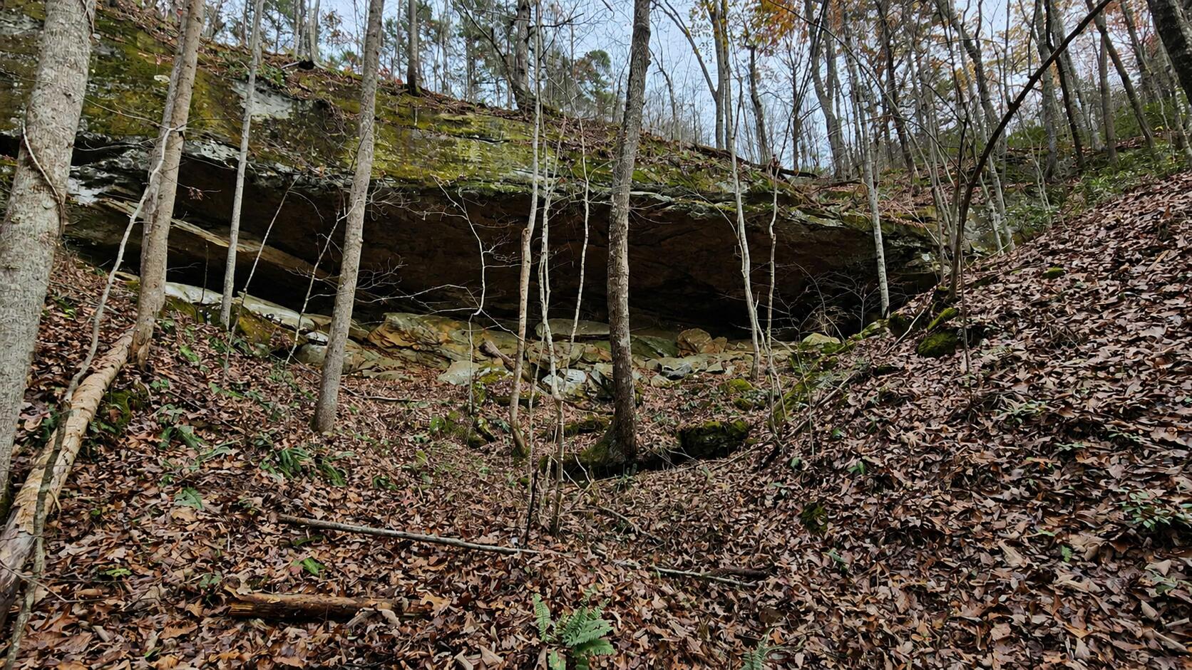 3101 Hazel Patch Road Property Photo 2