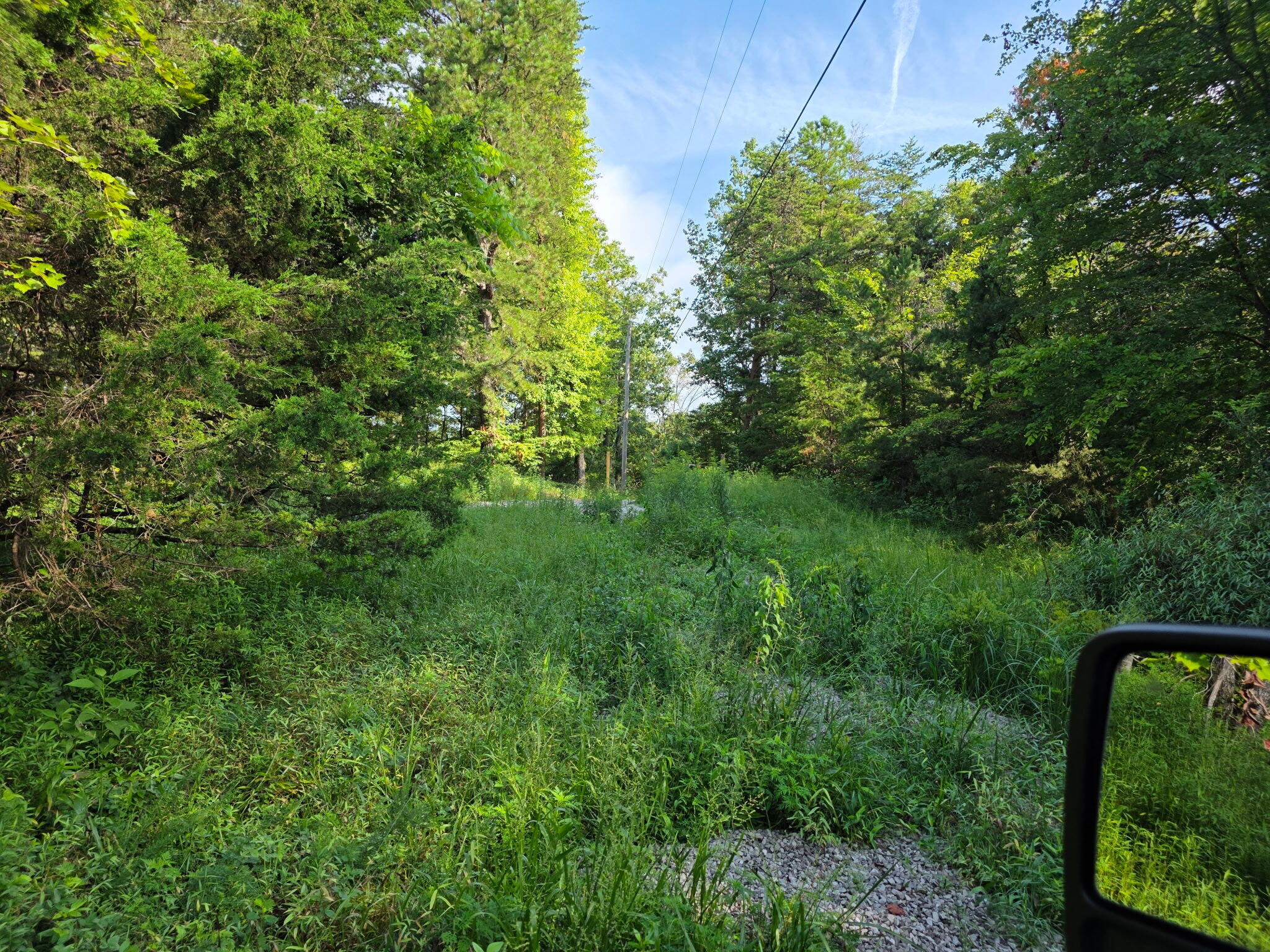 3101 Hazel Patch Road Property Photo 3
