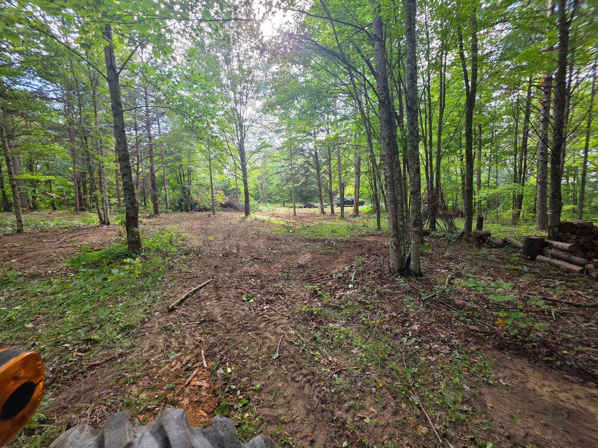 3101 Hazel Patch Road Property Photo 5