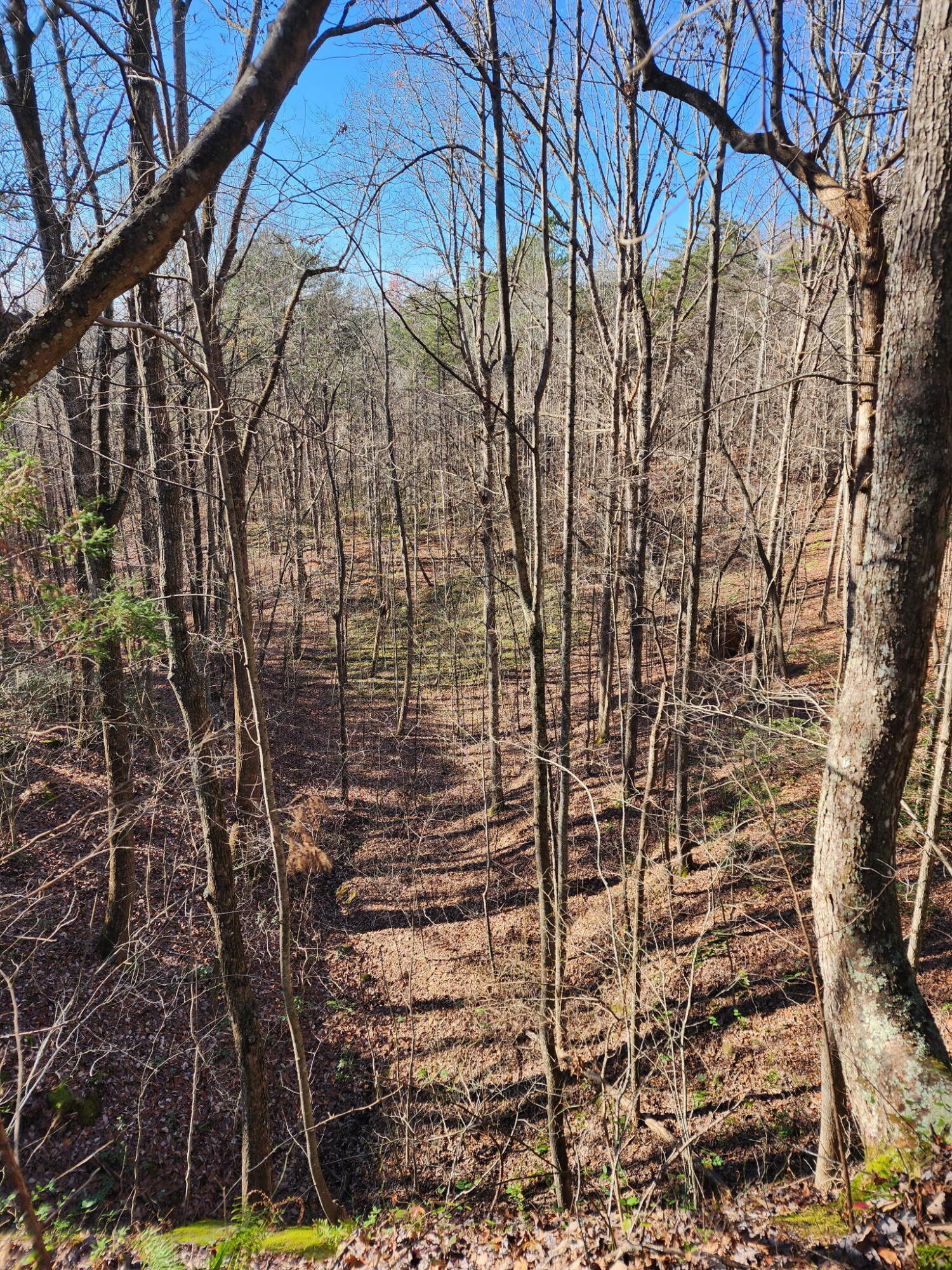 3101 Hazel Patch Road Property Photo 8