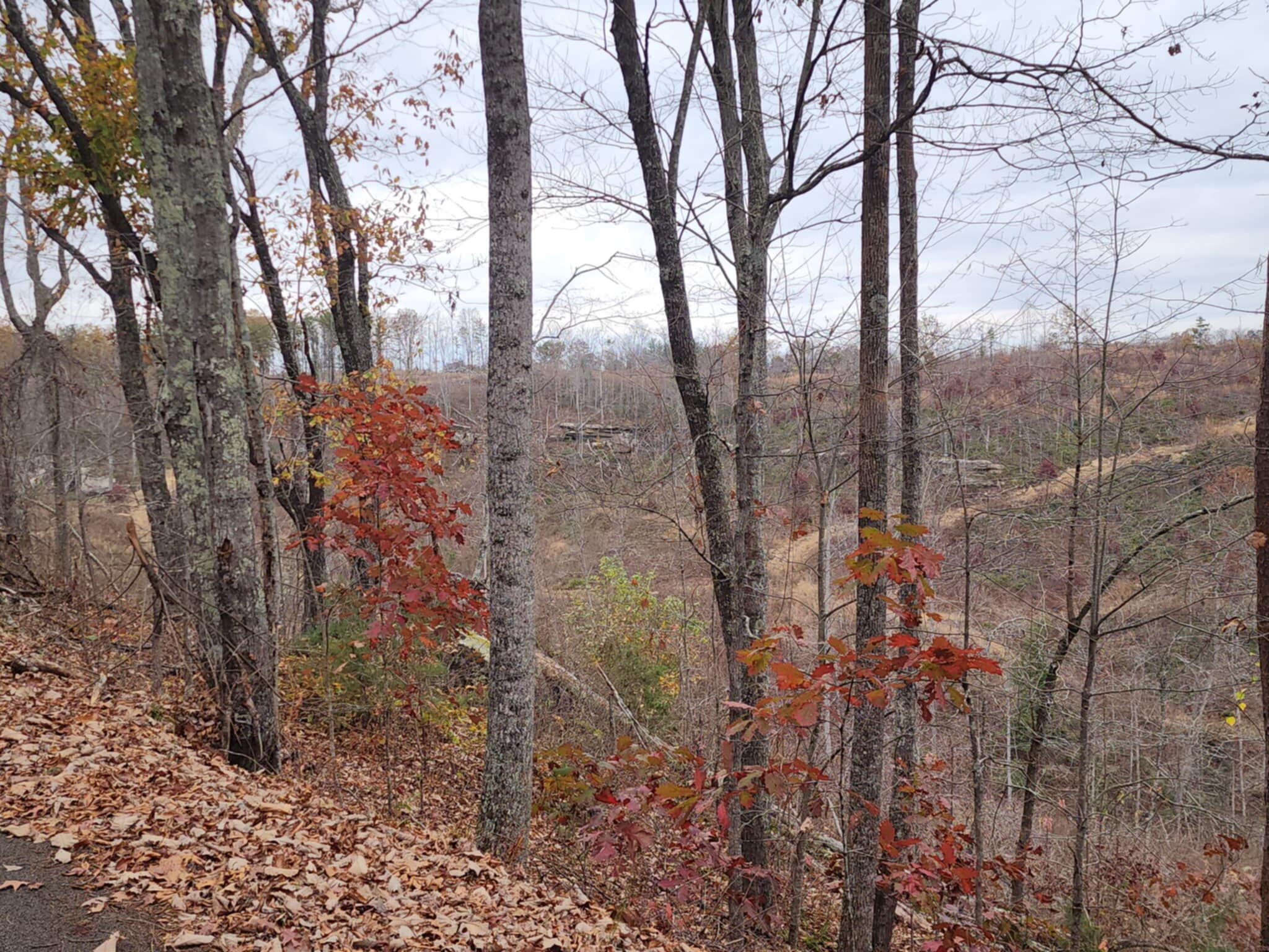 3101 Hazel Patch Road Property Photo 9
