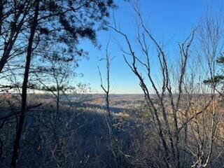 3101 Hazel Patch Road Property Photo 10