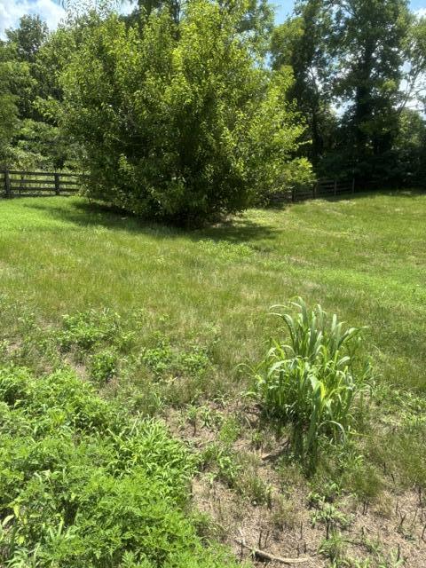 305 Lynnwood Drive Property Photo 2