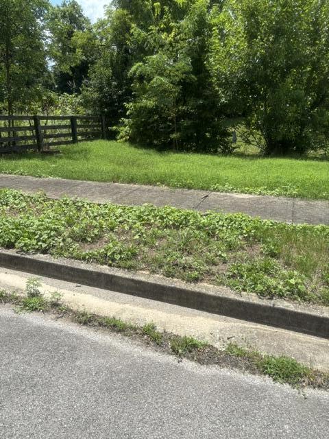 305 Lynnwood Drive Property Photo 4