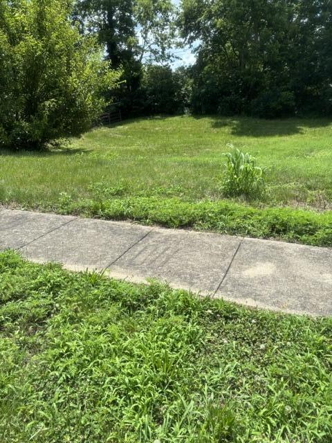 305 Lynnwood Drive Property Photo 5