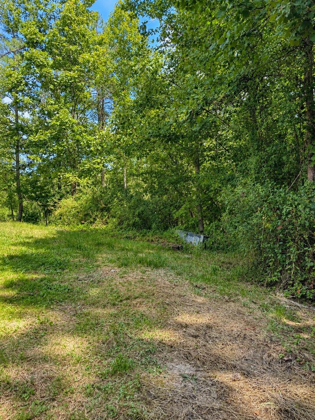 19 Timberland Point Property Photo 12