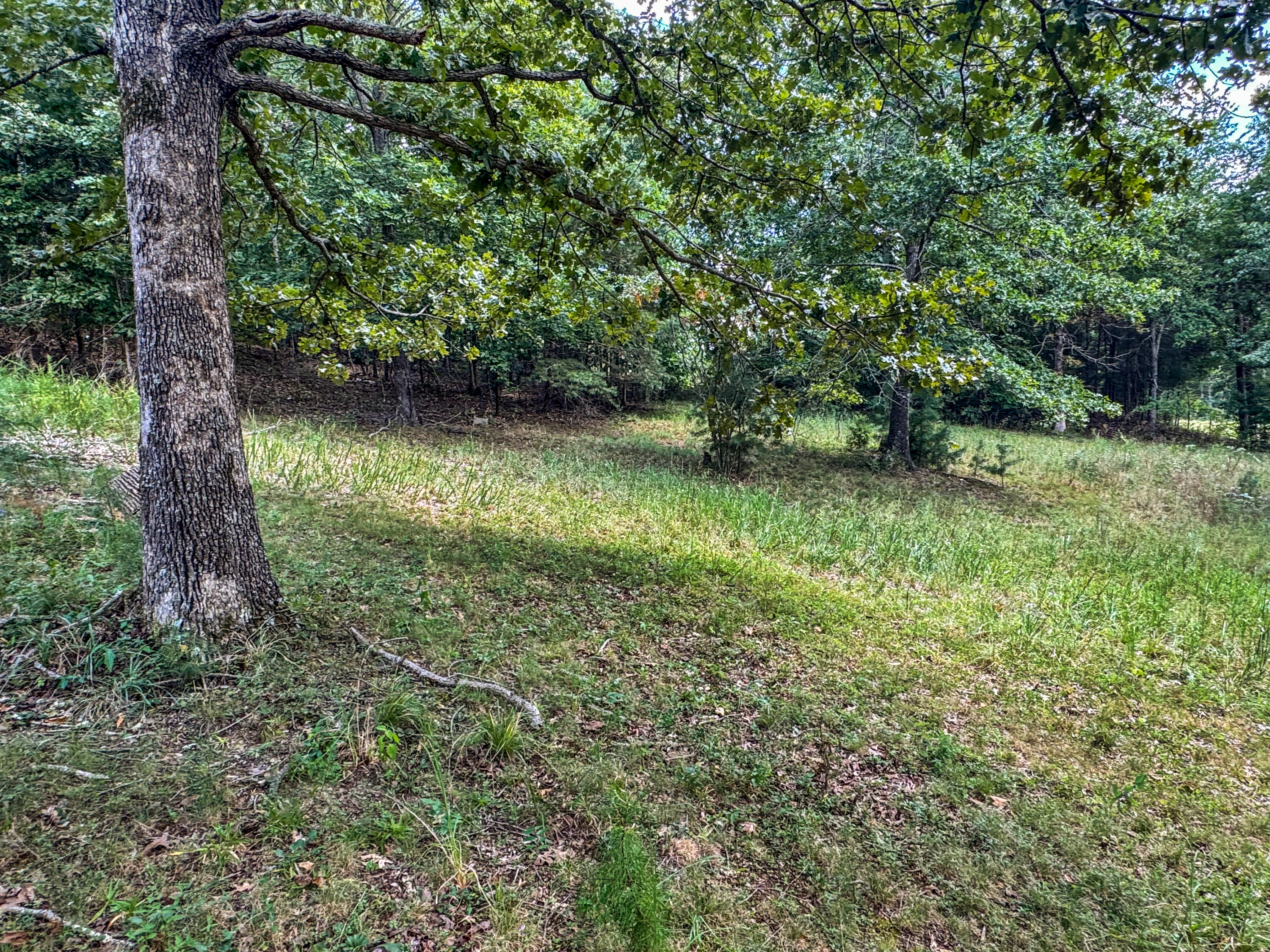 000 Cummins Road Property Photo 4