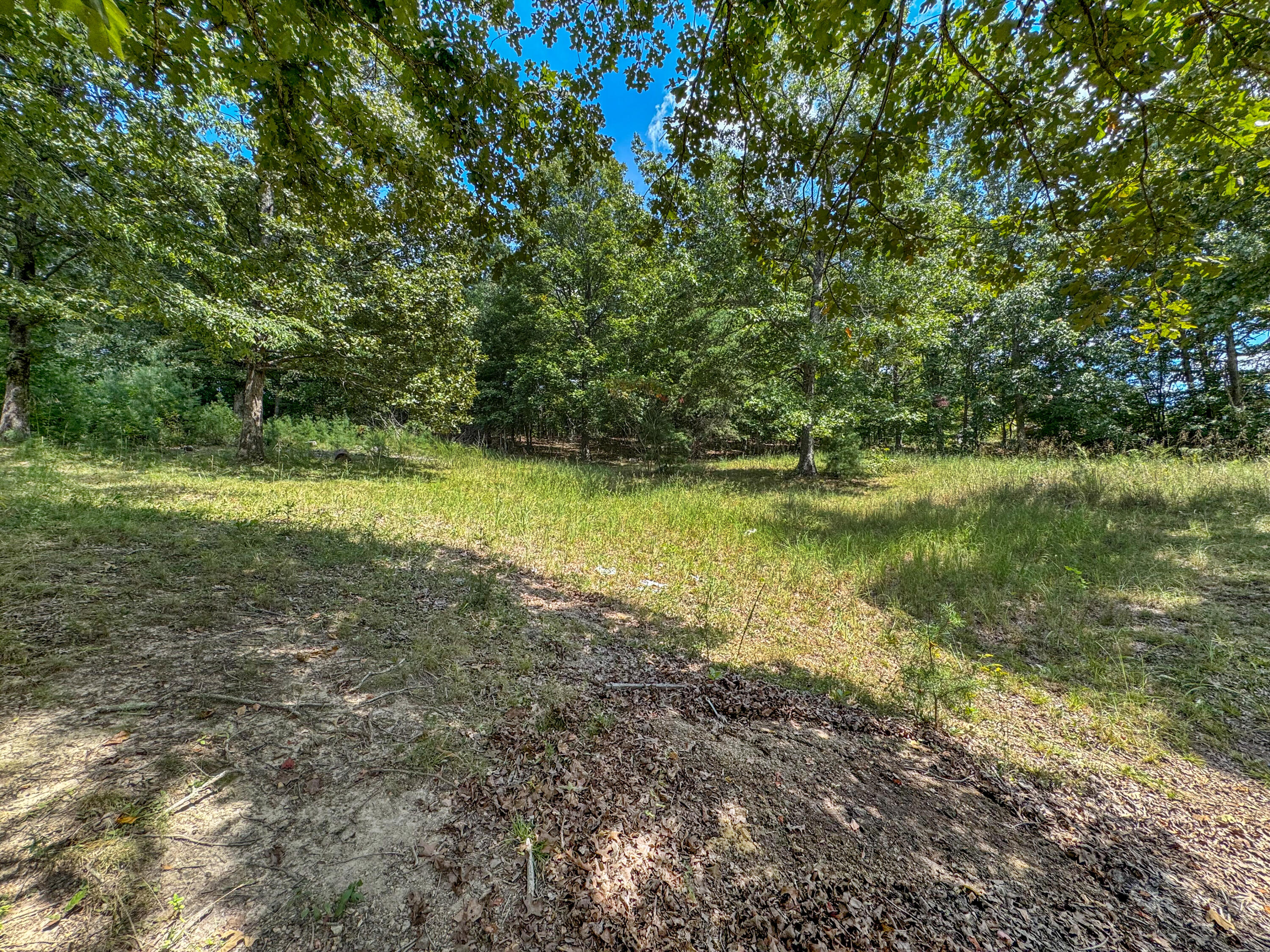 000 Cummins Road Property Photo 6
