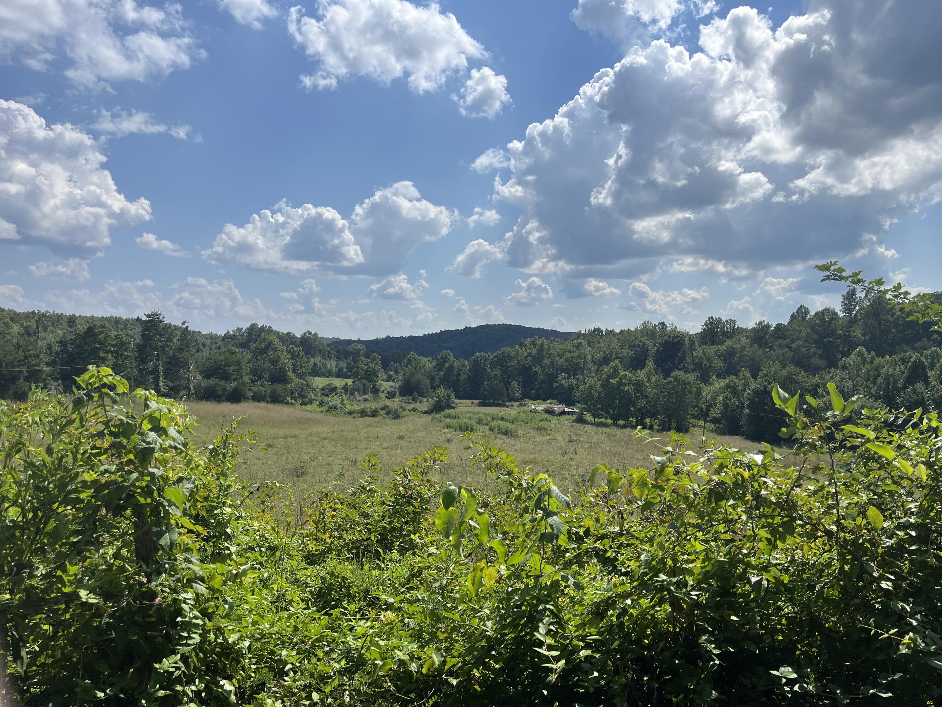 18 Acres E Arthur Adkins Road Property Photo 1