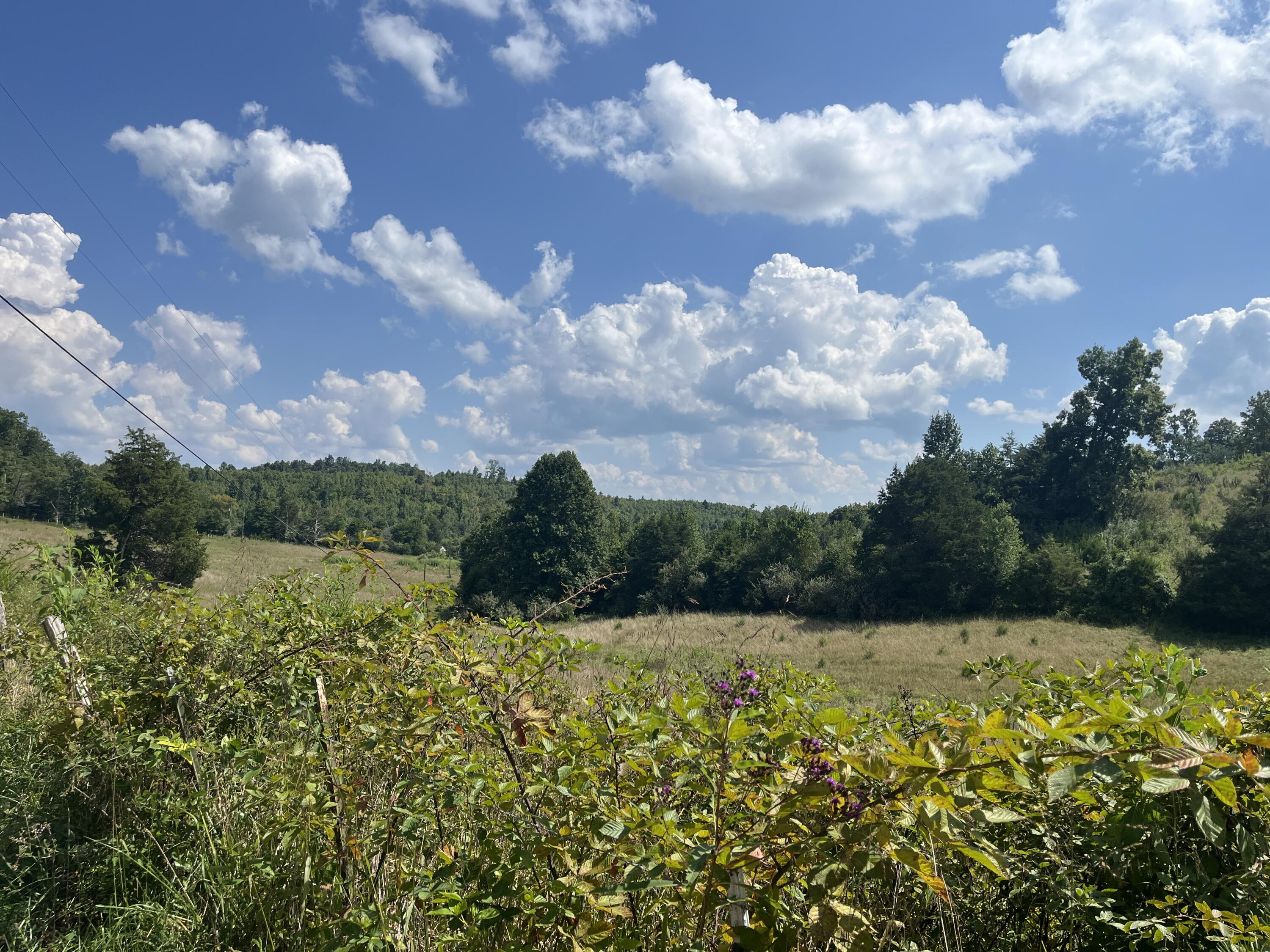 18 Acres E Arthur Adkins Road Property Photo 7