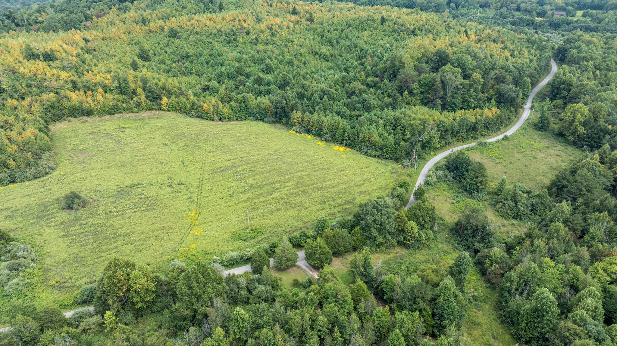 3.53 Acres E Arthur Adkins Road Property Photo 3