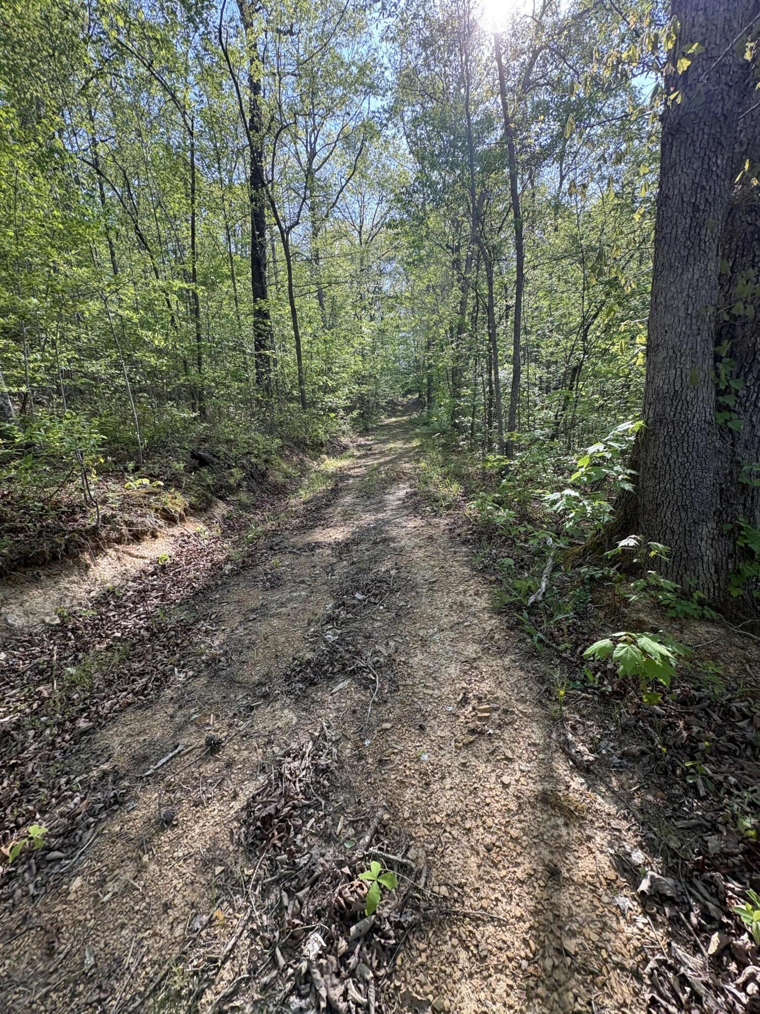 Tract 10 Rawlings/upper Rader Road Property Photo 6