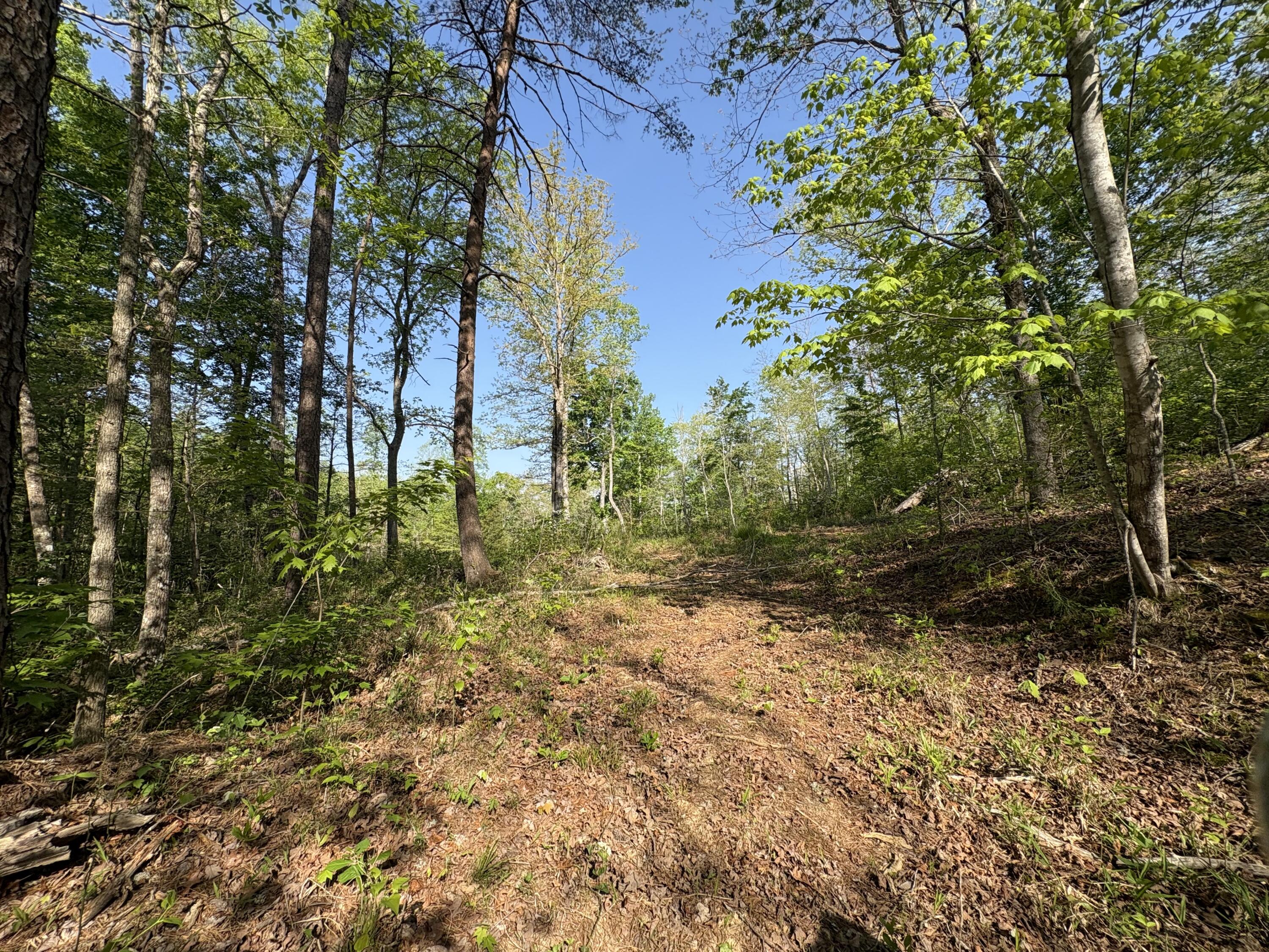 Tract 10 Rawlings/upper Rader Road Property Photo 8