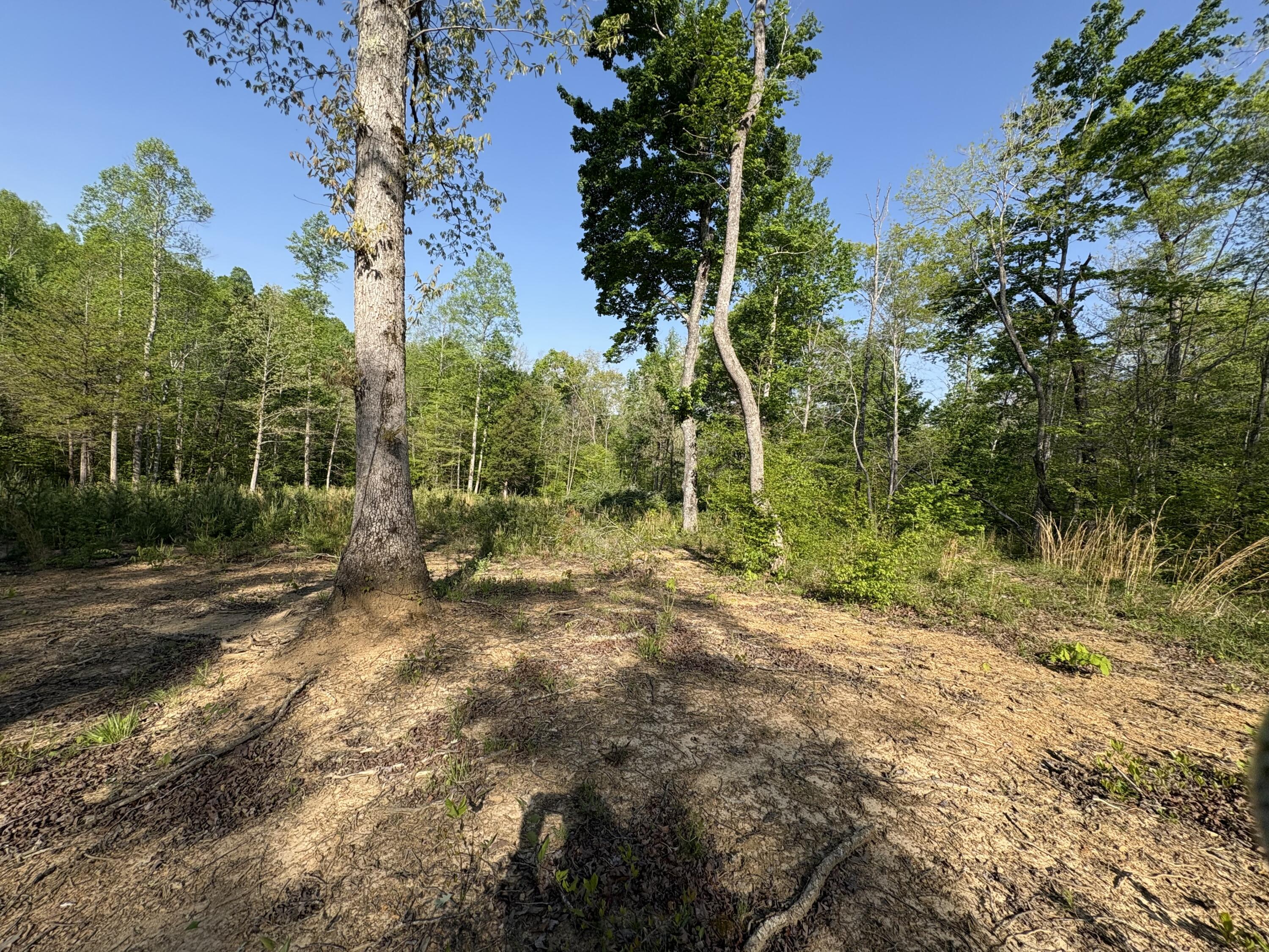Tract 10 Rawlings/upper Rader Road Property Photo 9