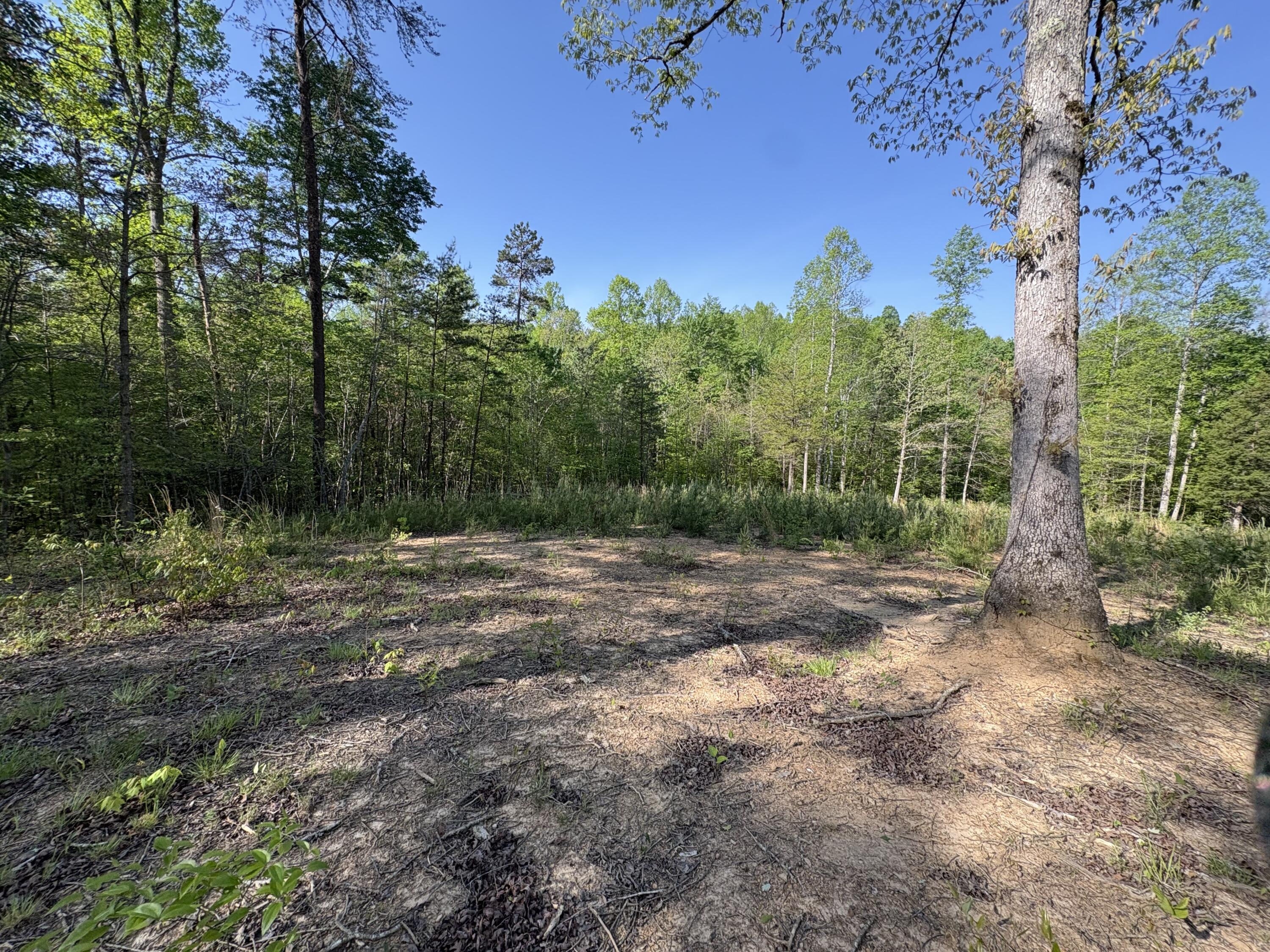 Tract 10 Rawlings/upper Rader Road Property Photo 10