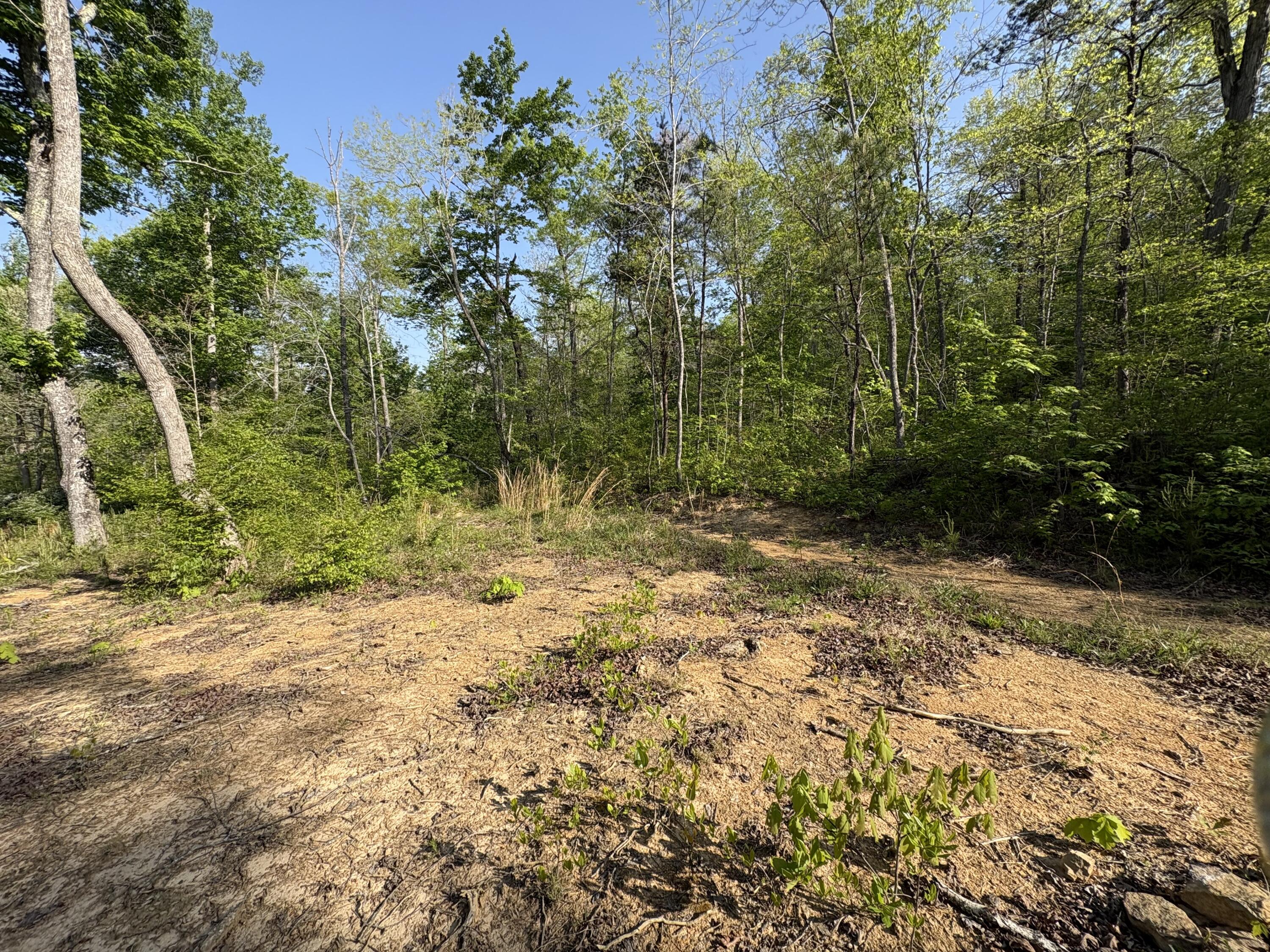 Tract 10 Rawlings/upper Rader Road Property Photo 11
