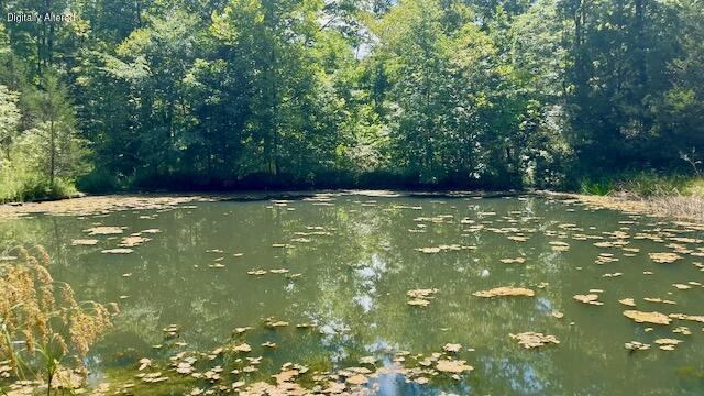 0 County Line Road Property Photo 2
