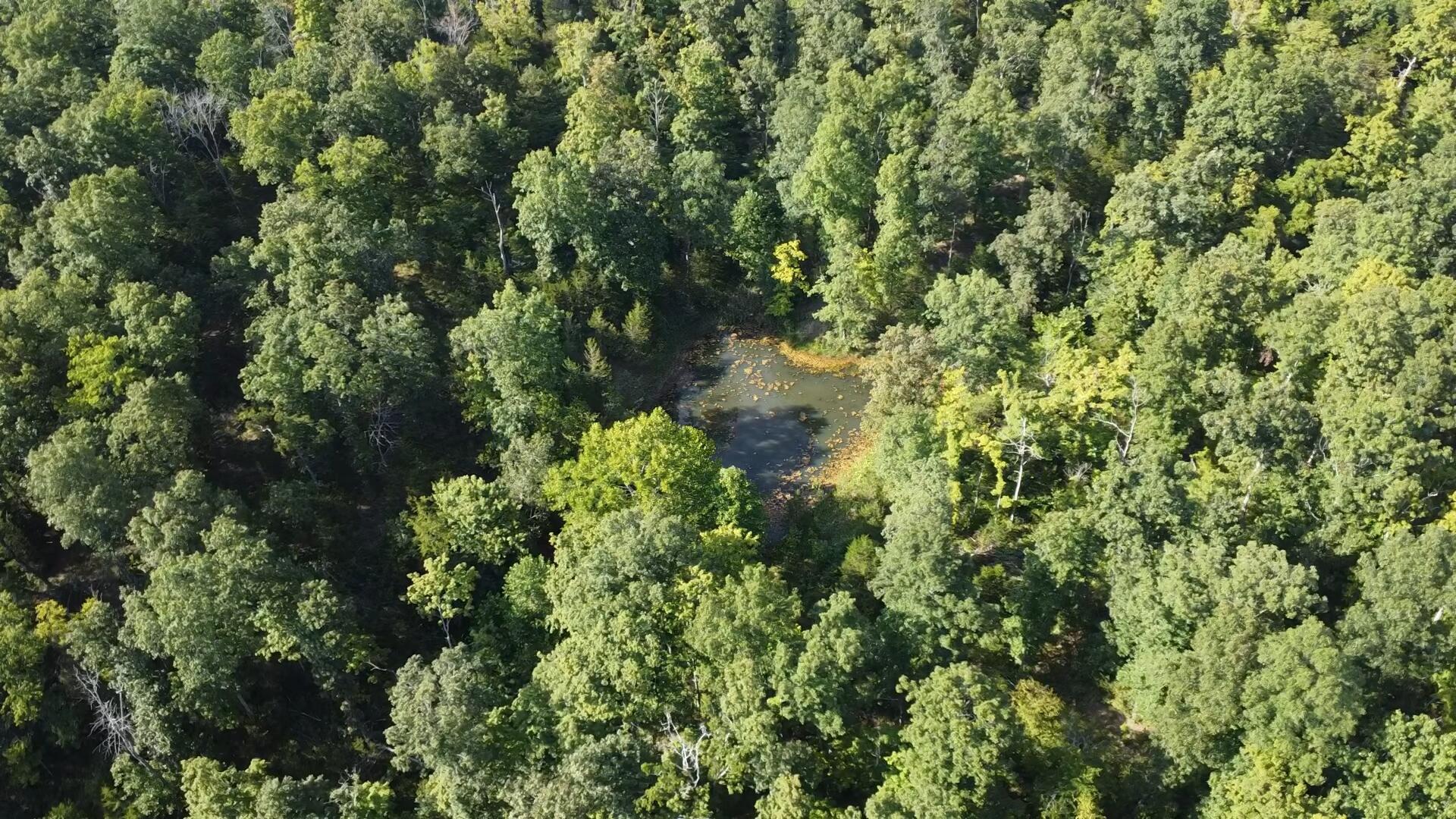 0 County Line Road Property Photo 3