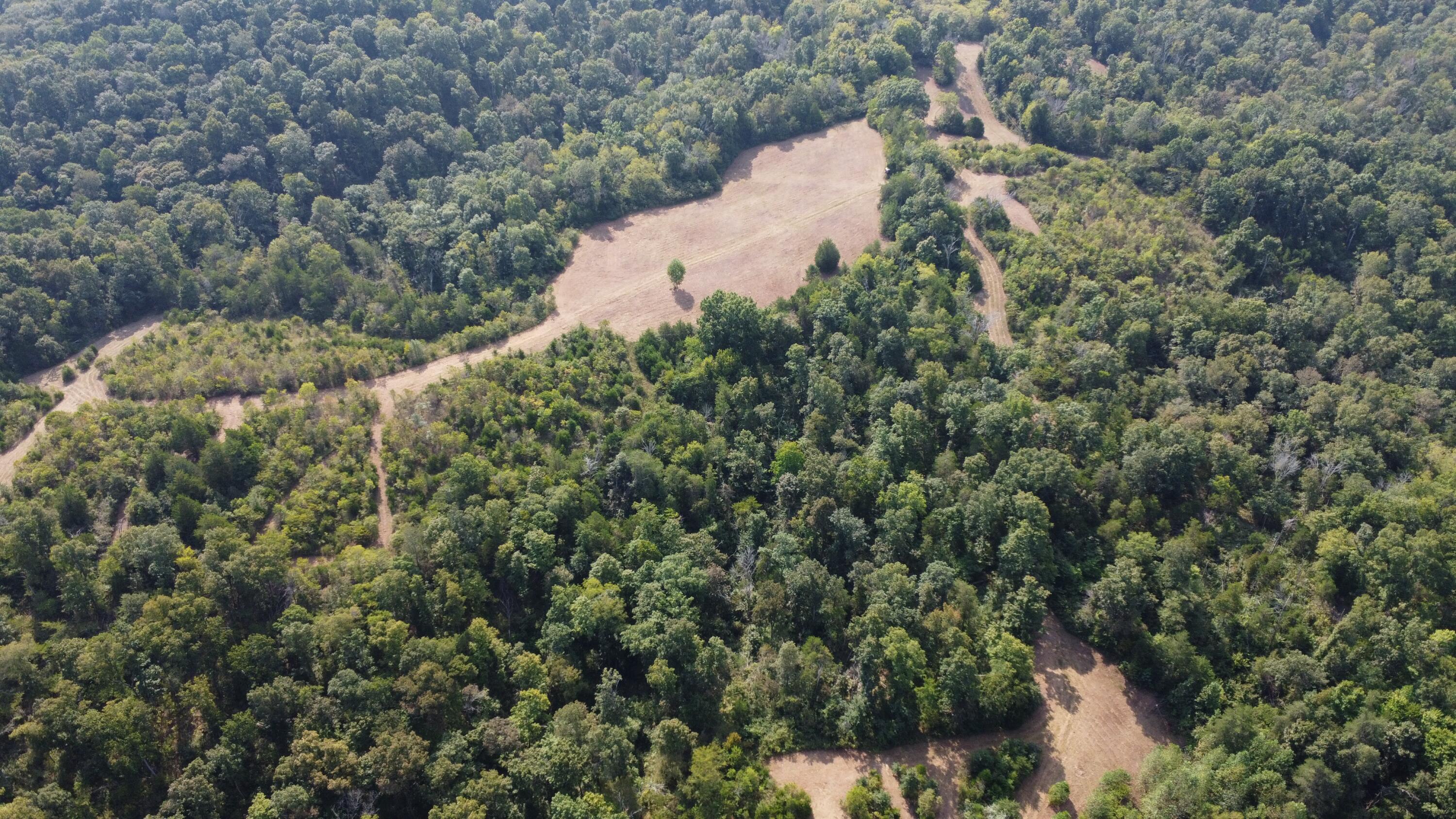 0 County Line Road Property Photo 3