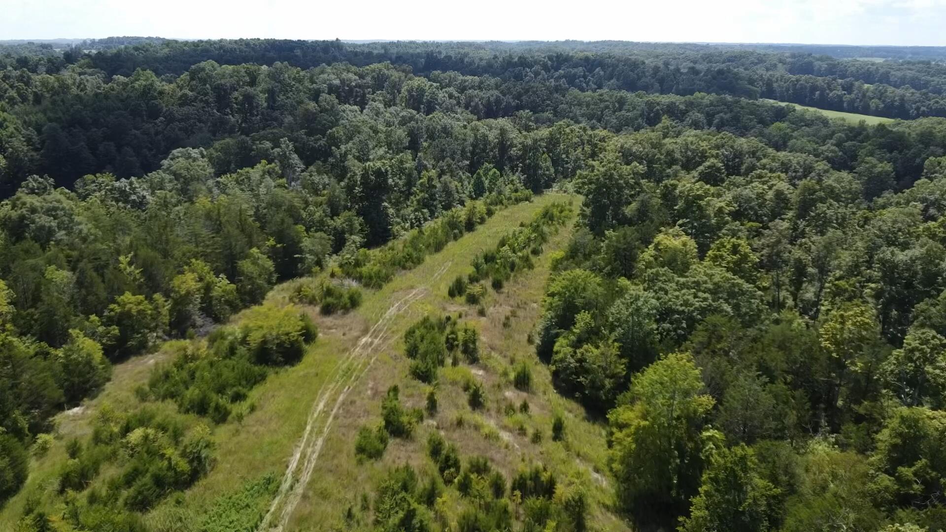 0 County Line Road Property Photo 4