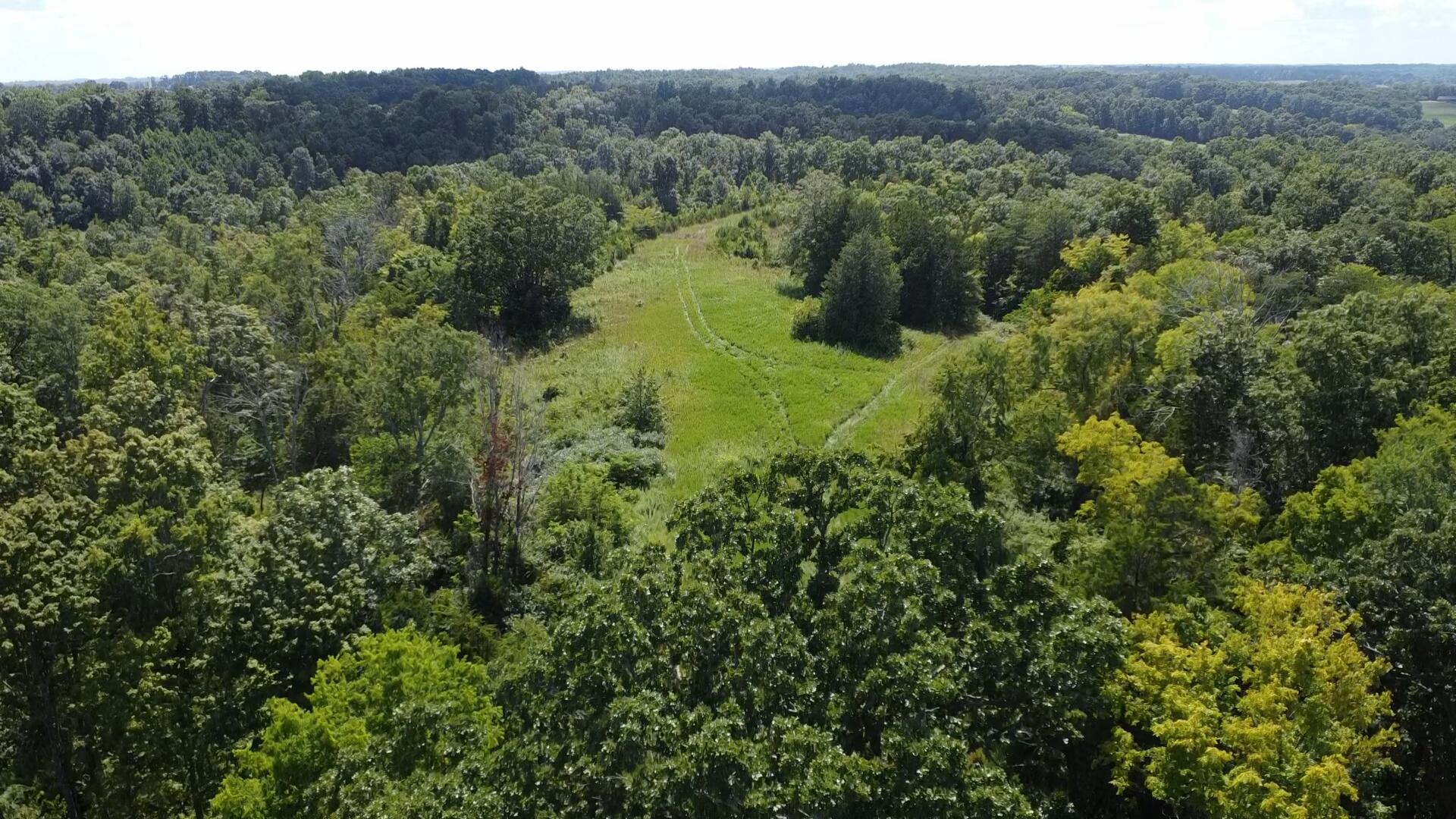 0 County Line Road Property Photo 5