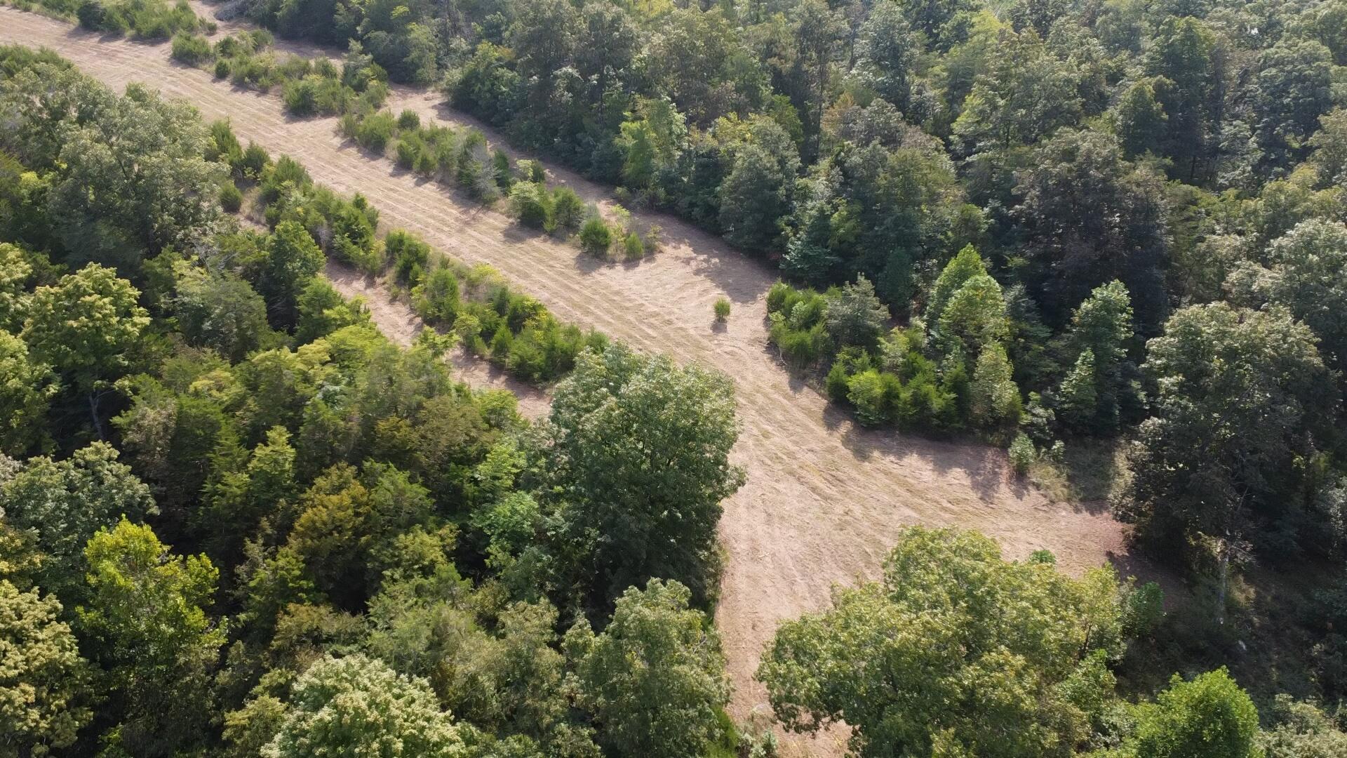 0 County Line Road Property Photo 5