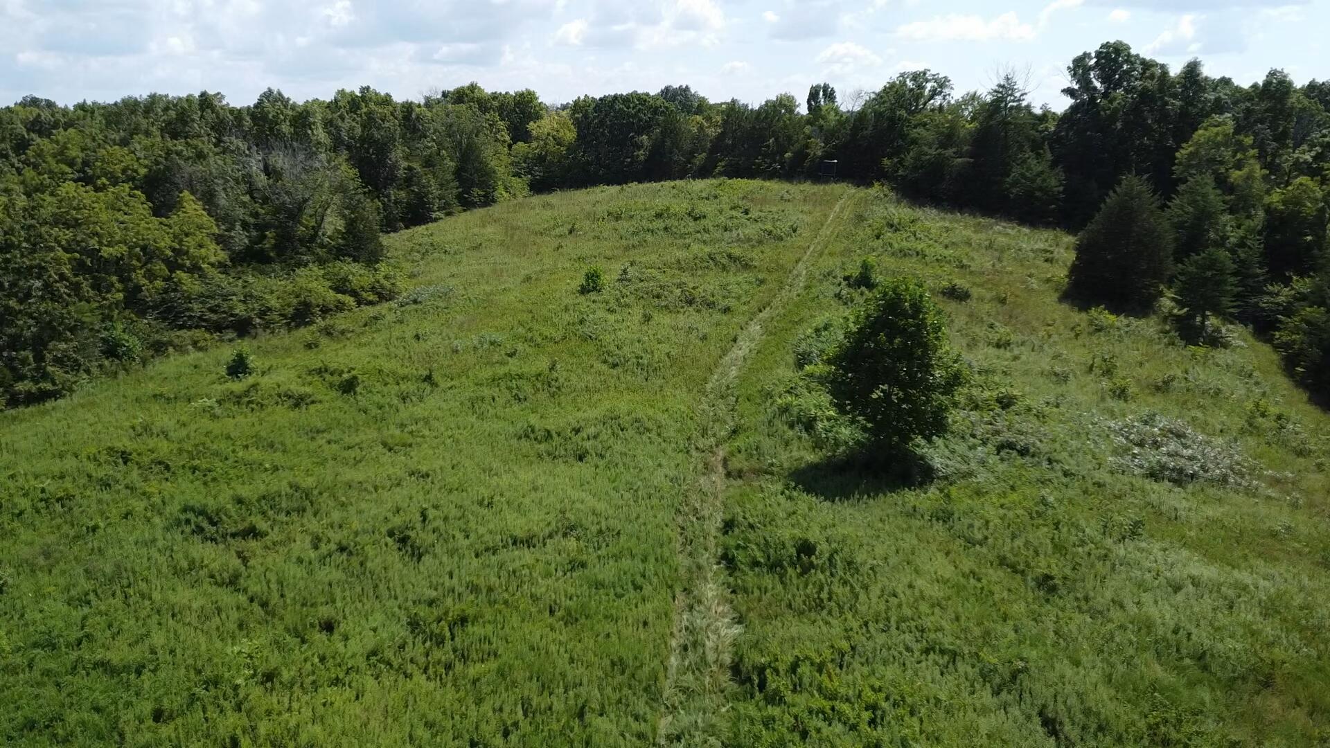 0 County Line Road Property Photo 6