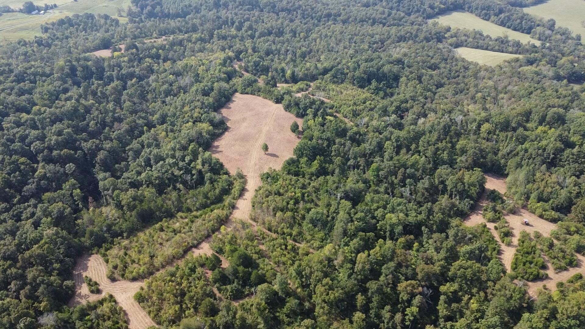 0 County Line Road Property Photo 7