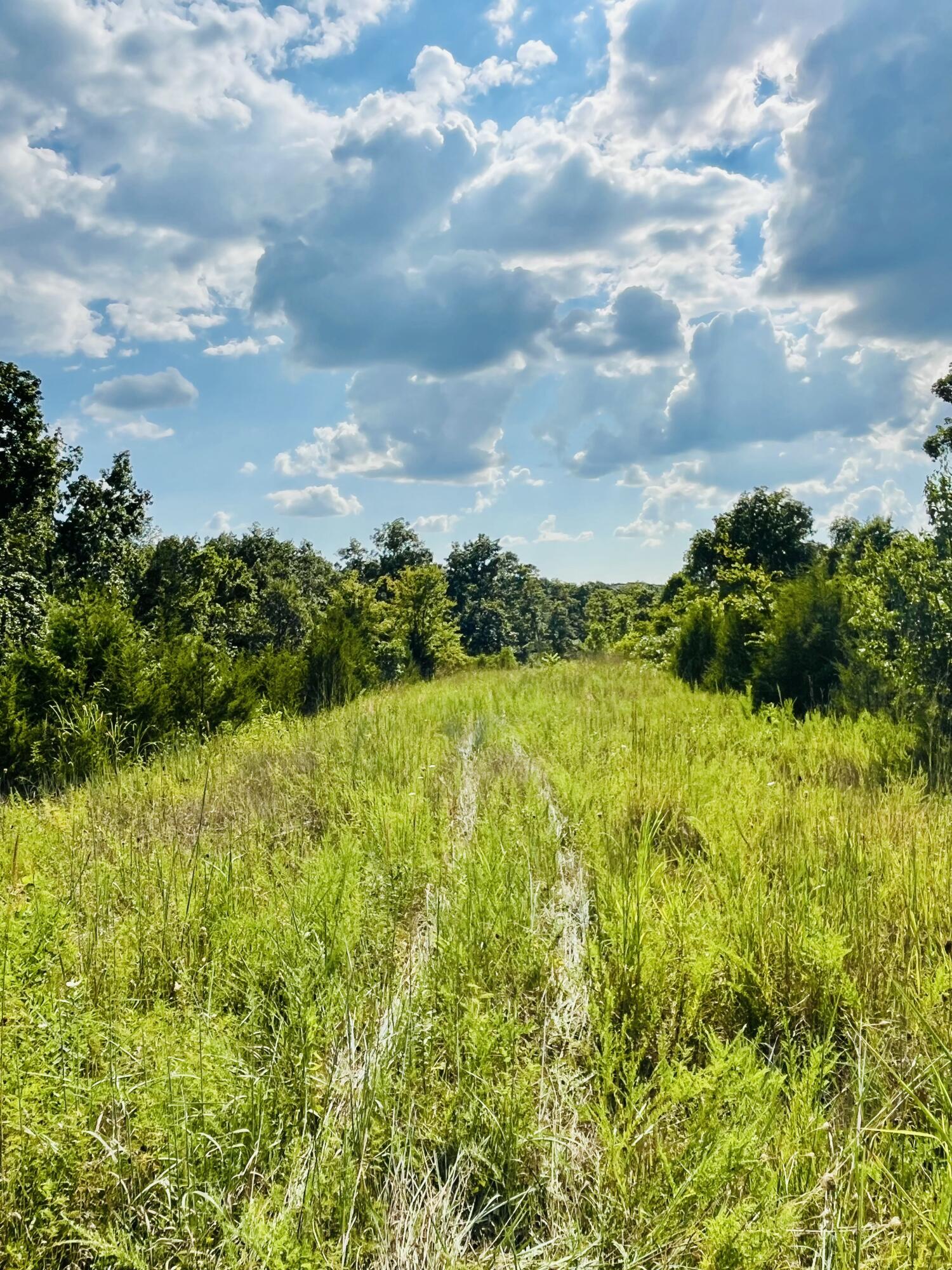 0 County Line Road Property Photo 8
