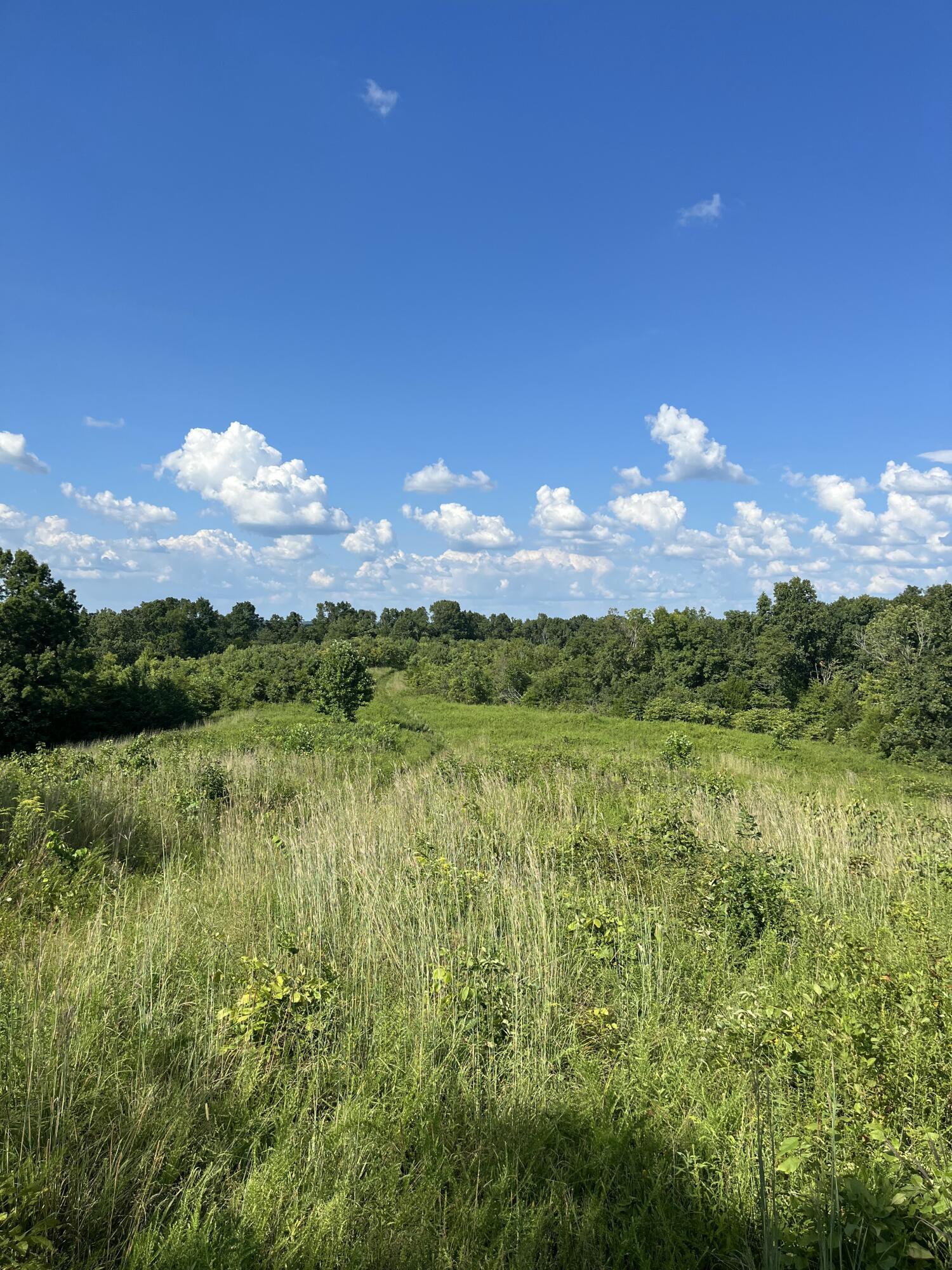 0 County Line Road Property Photo 9