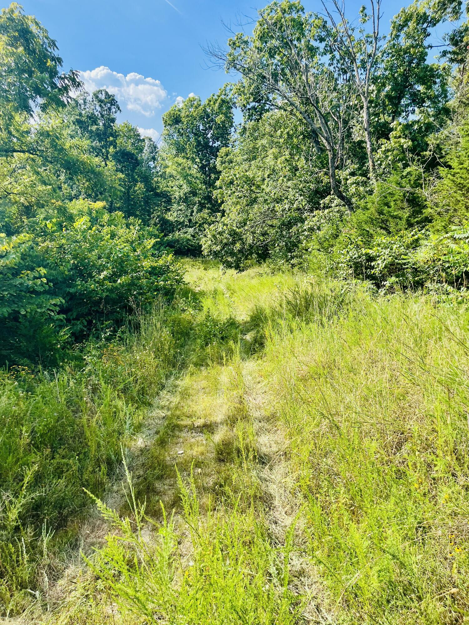 0 County Line Road Property Photo 10