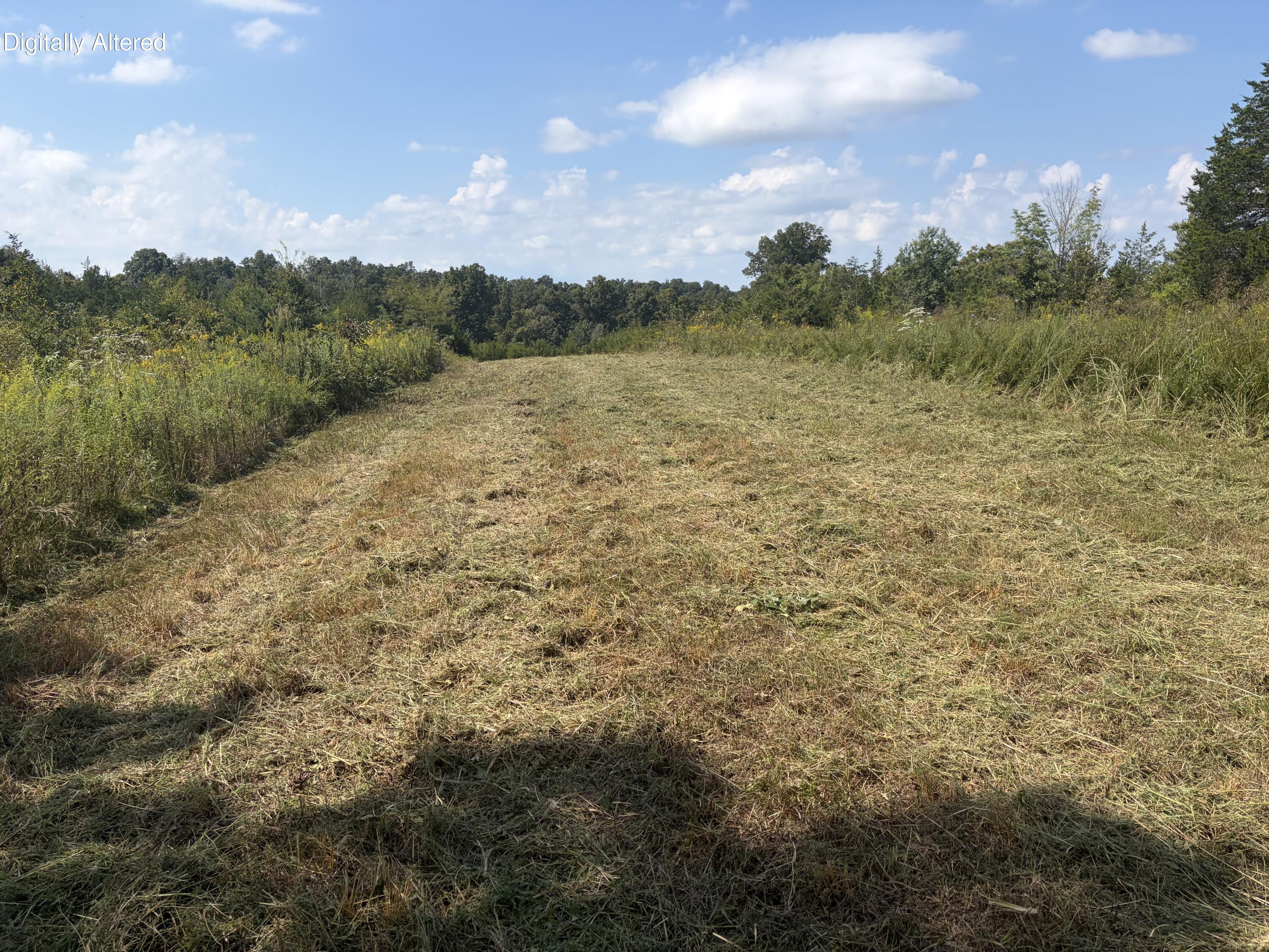 0 County Line Road Property Photo 17