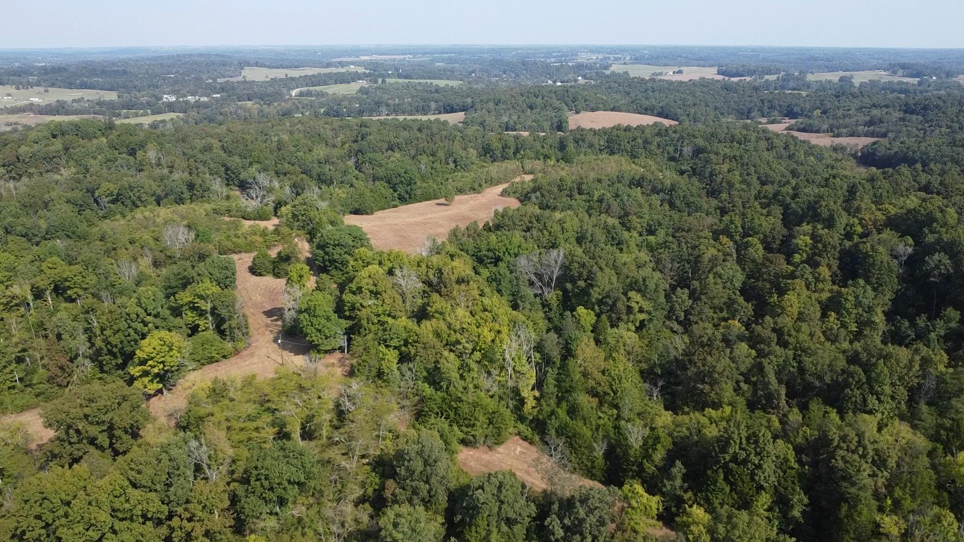 0 County Line Road Property Photo 19