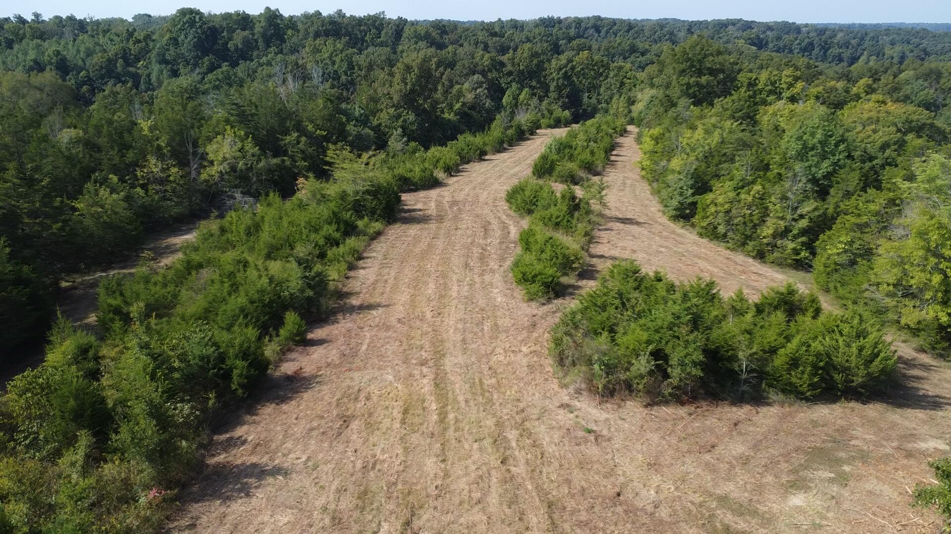 0 County Line Road Property Photo 20