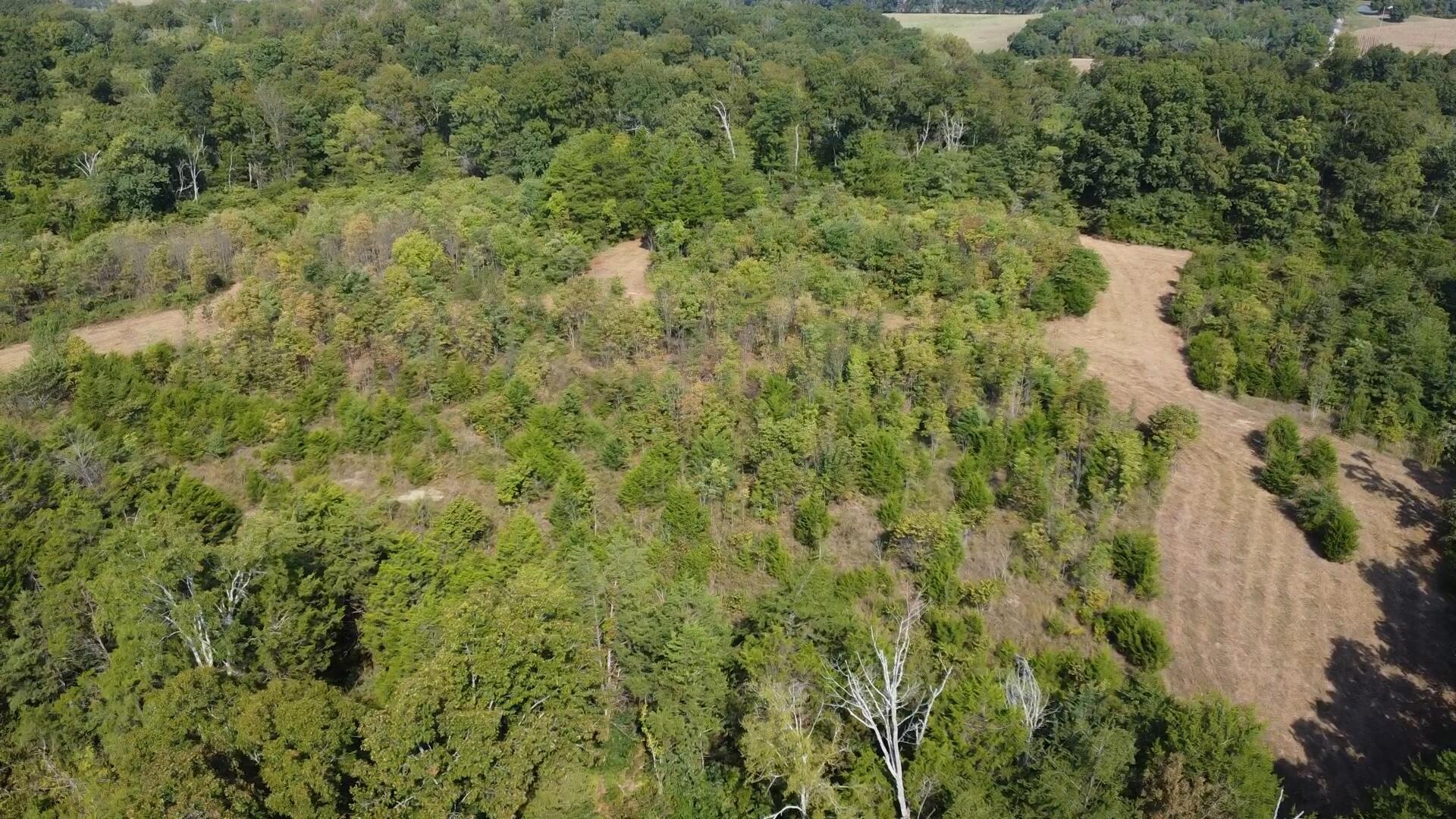 0 County Line Road Property Photo 21