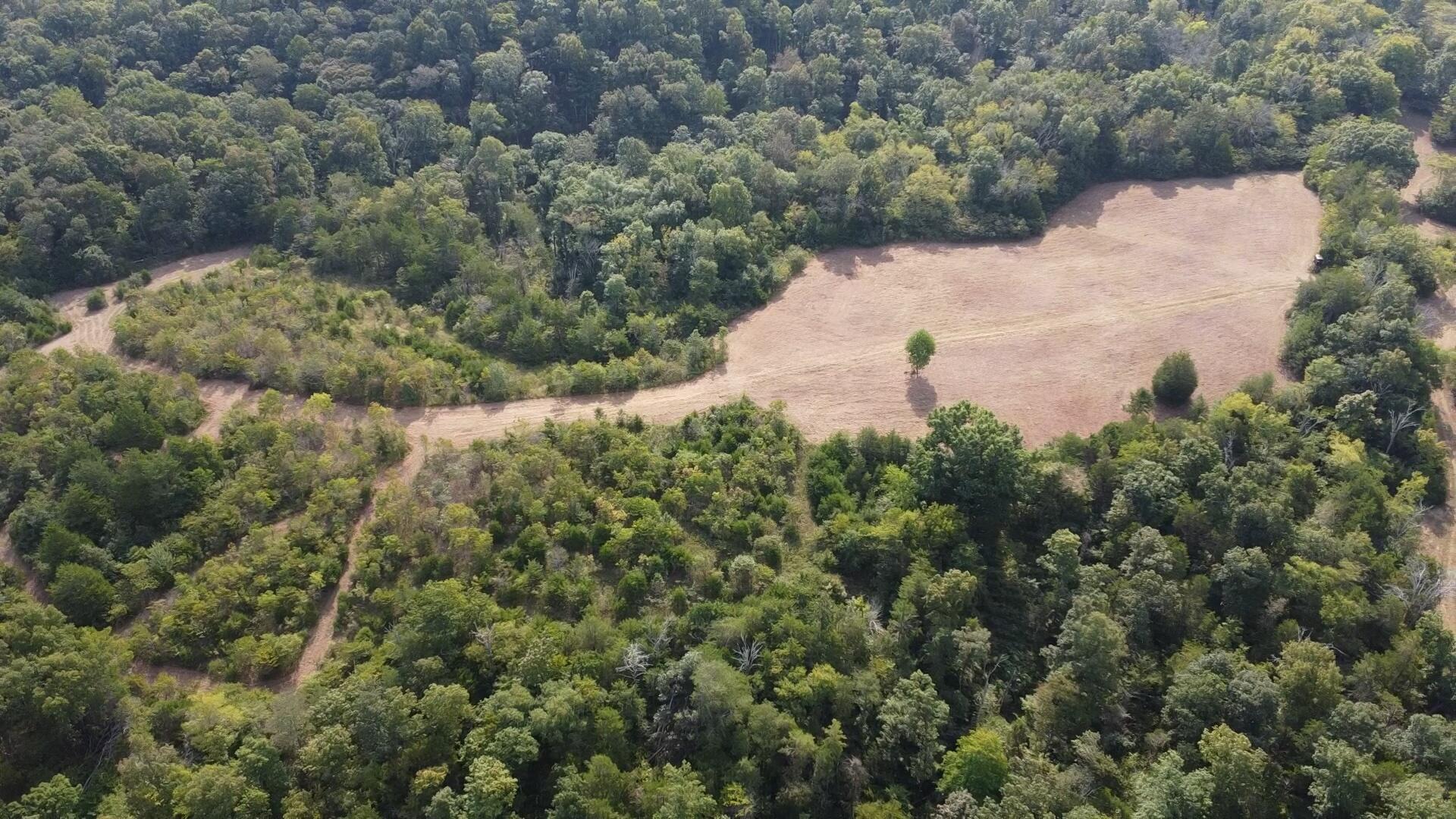 0 County Line Road Property Photo 24