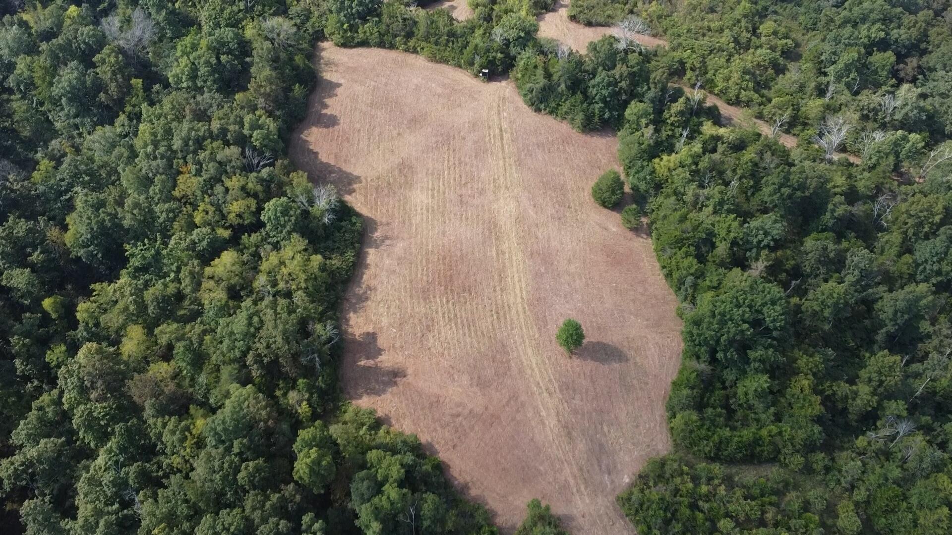 0 County Line Road Property Photo 25