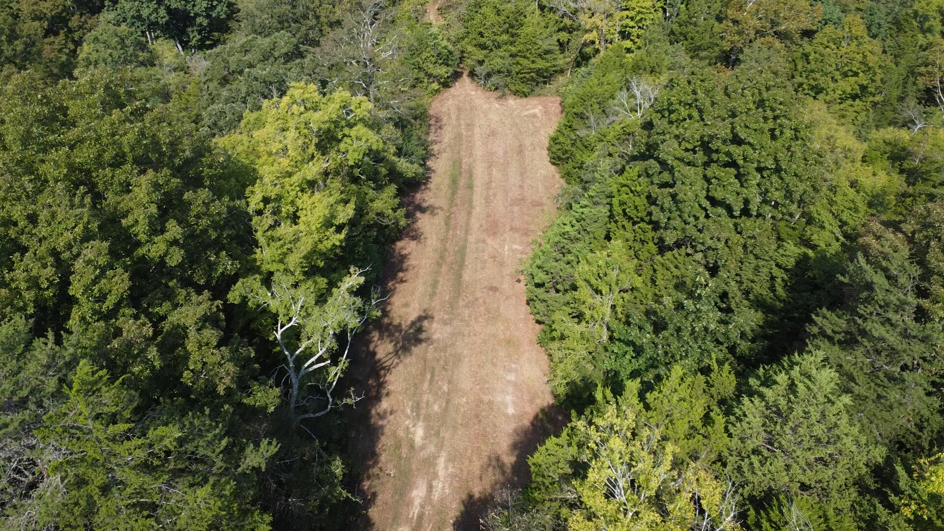 0 County Line Road Property Photo 26