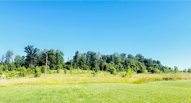 9860 Cerulean-sinking Fork Road Property Photo 26