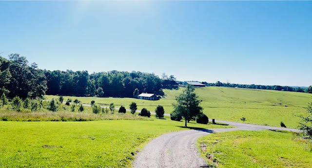 9860 Cerulean-sinking Fork Road Property Photo 29