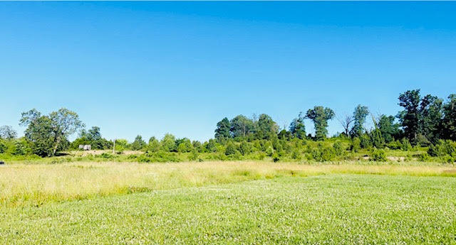 9860 Cerulean-sinking Fork Road Property Photo 30