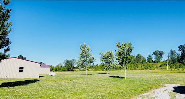9860 Cerulean-sinking Fork Road Property Photo 31