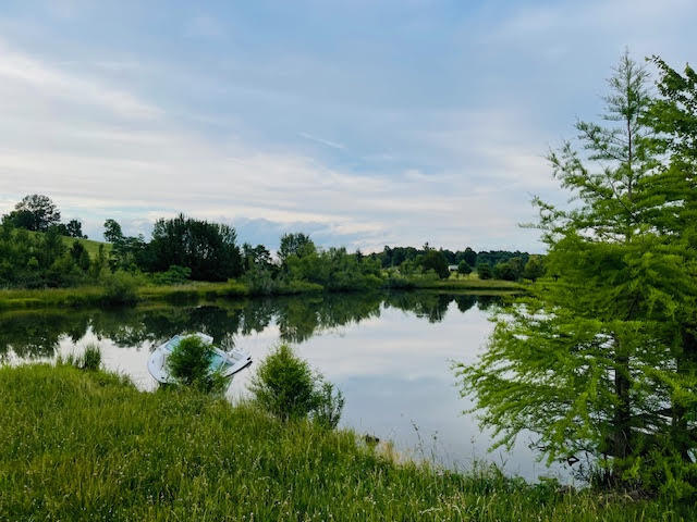9860 Cerulean-sinking Fork Road Property Photo 37