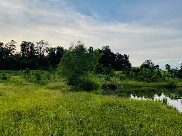 9860 Cerulean-sinking Fork Road Property Photo 51