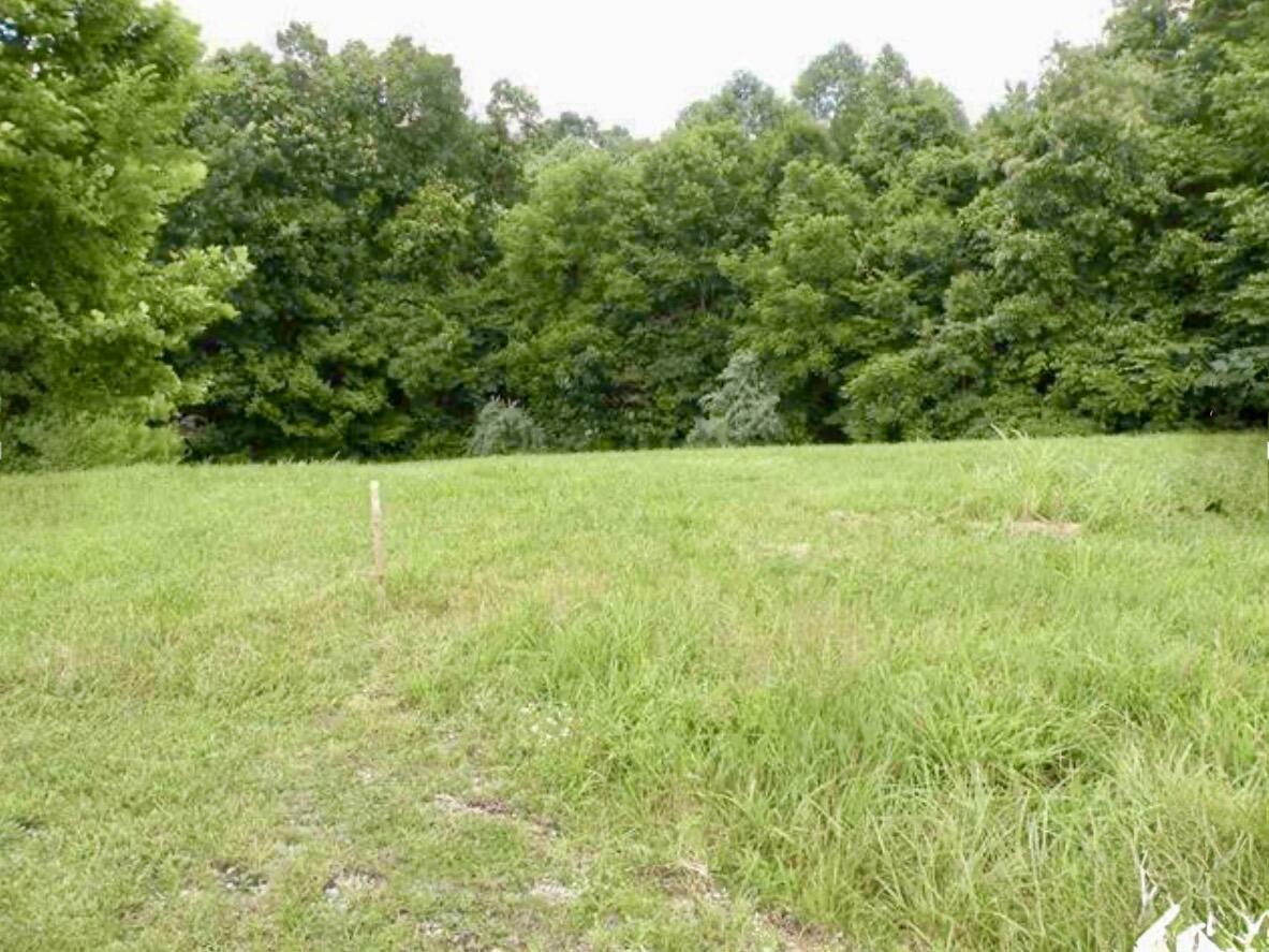 Lot 14 Corinne Drive Property Photo 1