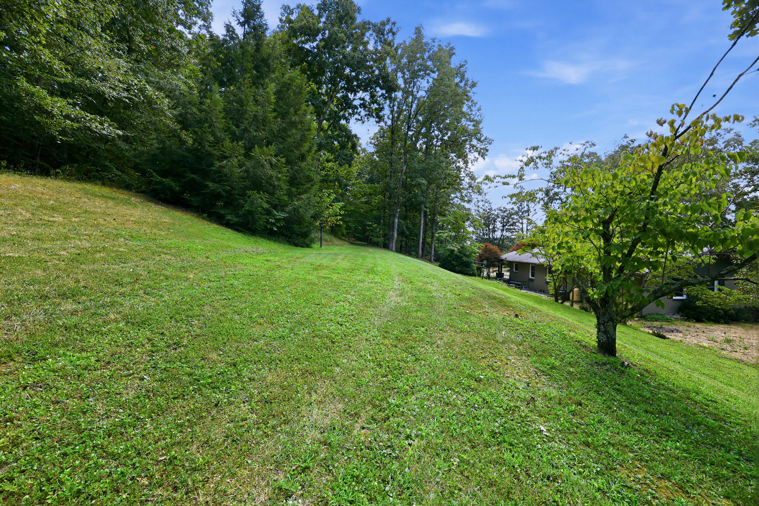 1457 S Wallace Wilkinson Boulevard Property Photo 41