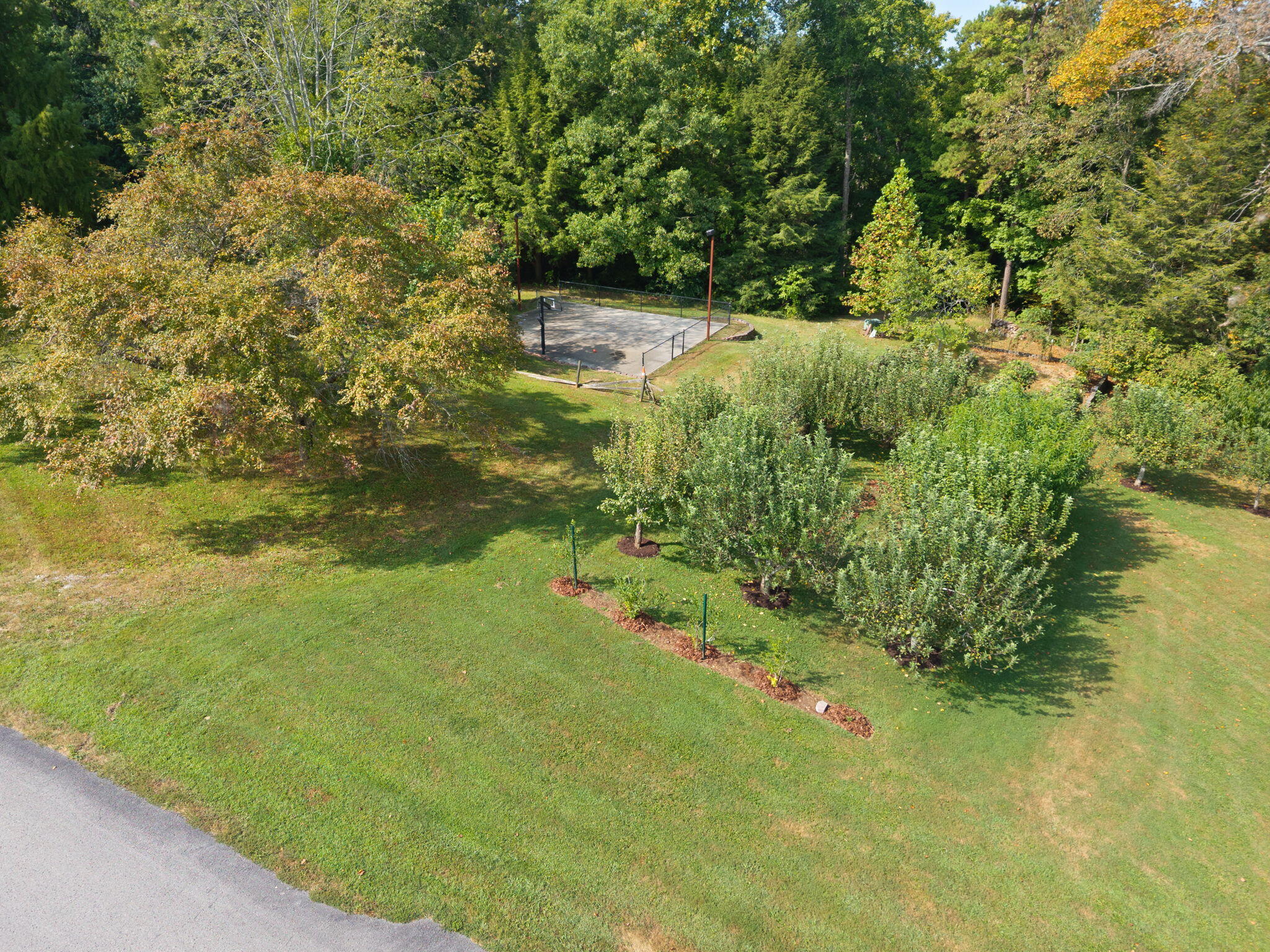 484 Woods Edge Drive Property Photo 149