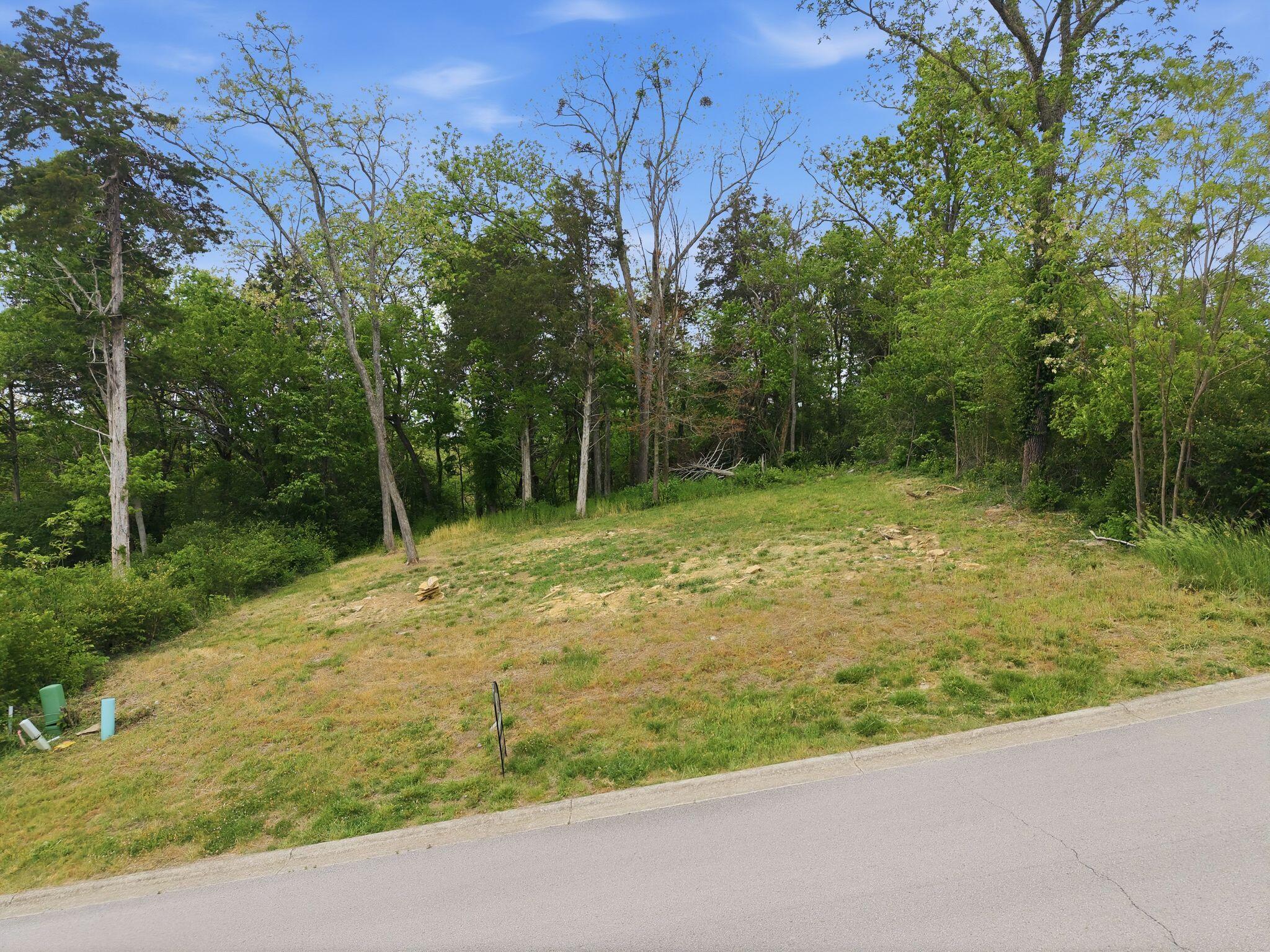 624 Persimmon Ridge Trail Property Photo 6
