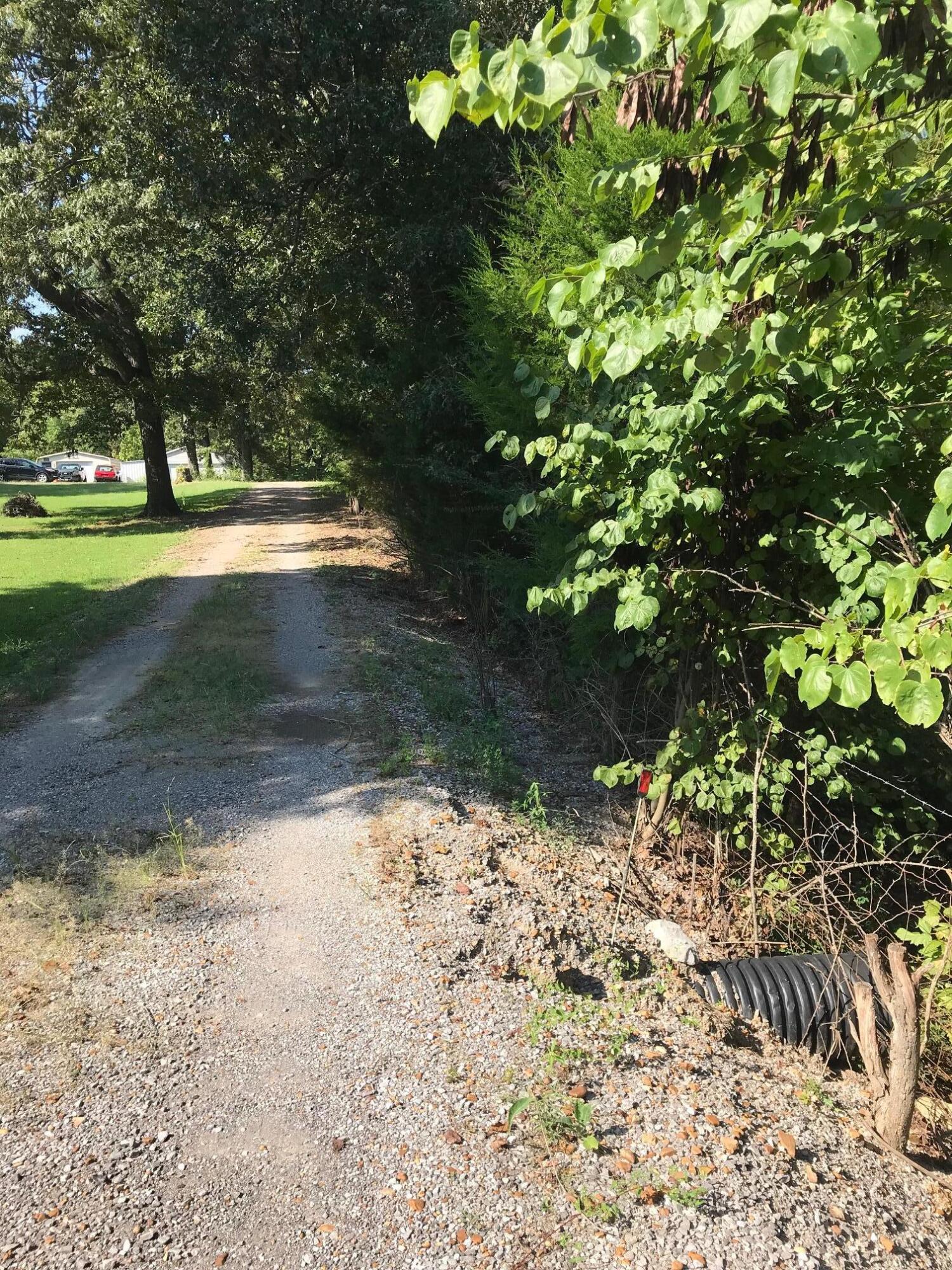 278 Tom Lane Road Property Photo 18