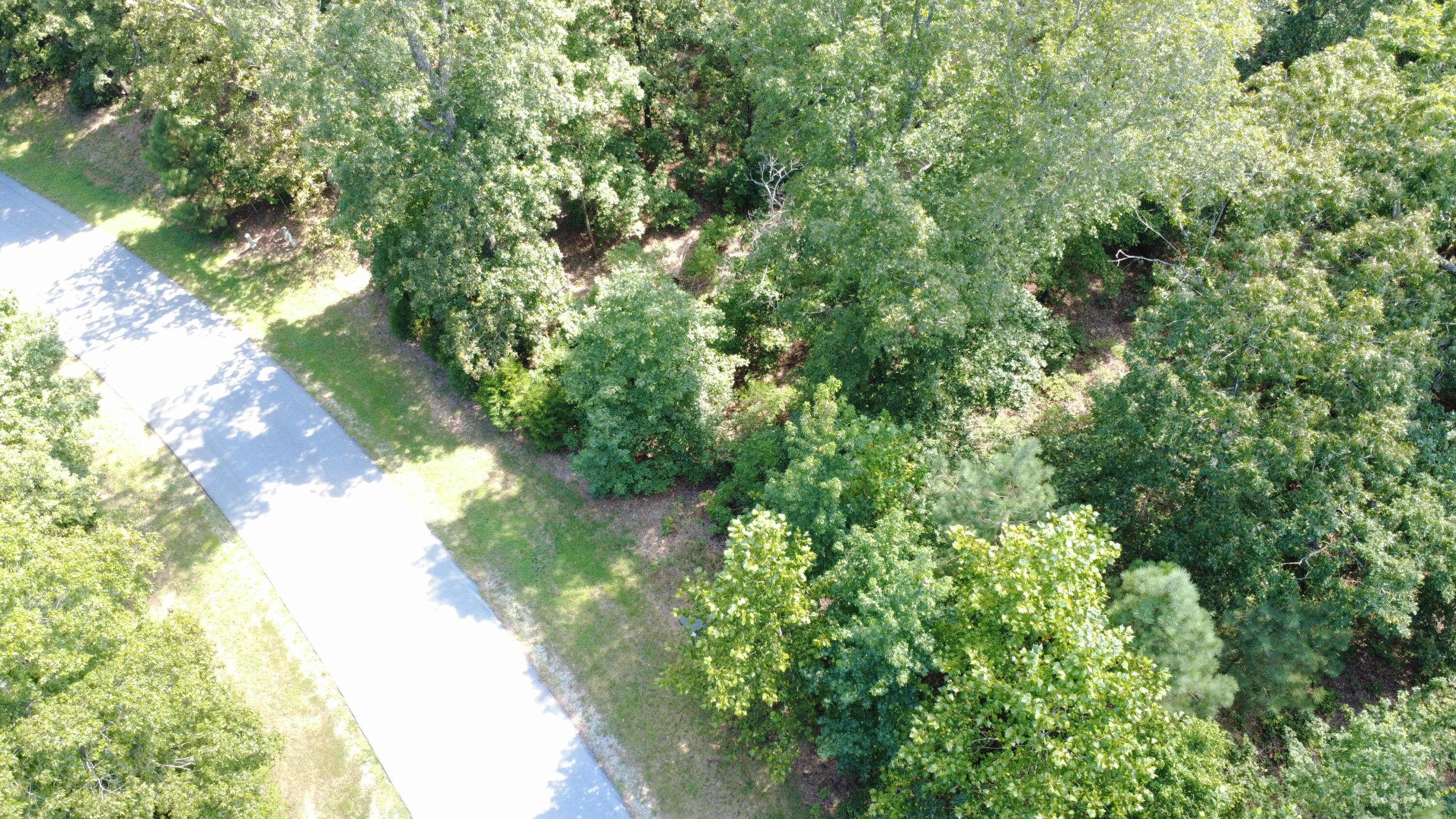 Lot 172 Shine Lane Property Photo 4